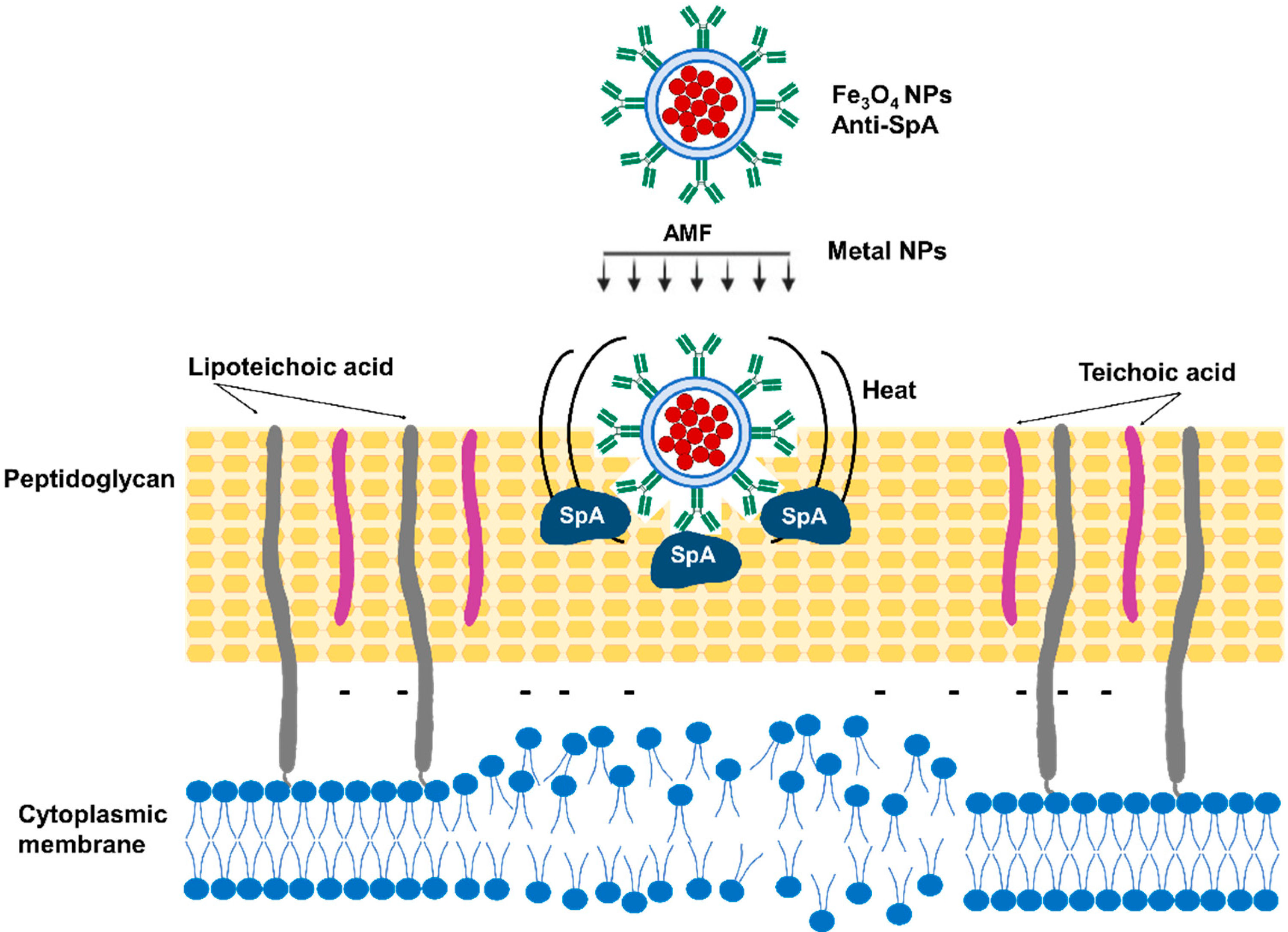 Antibiotics 12 01477 g006