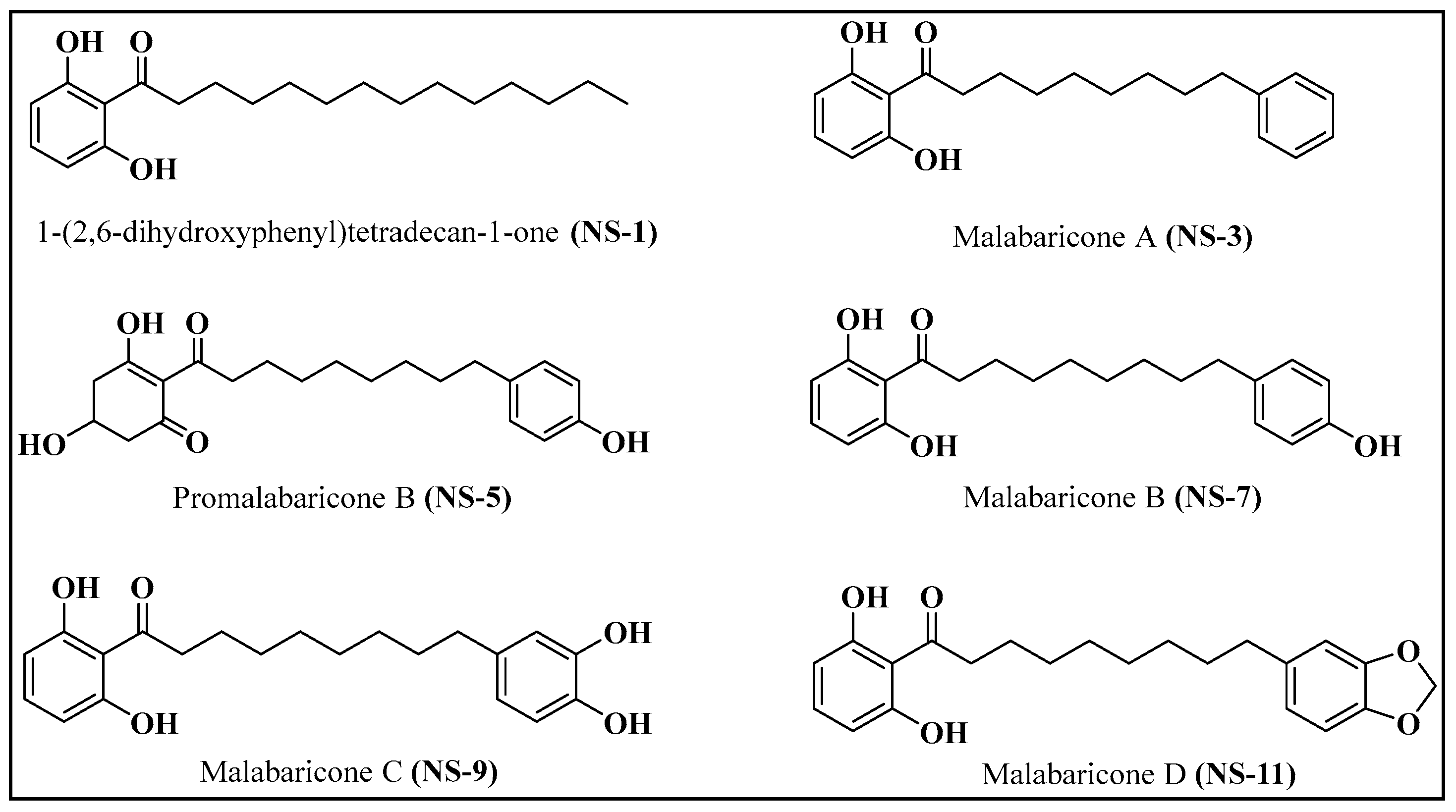 Antibiotics 12 01483 g001