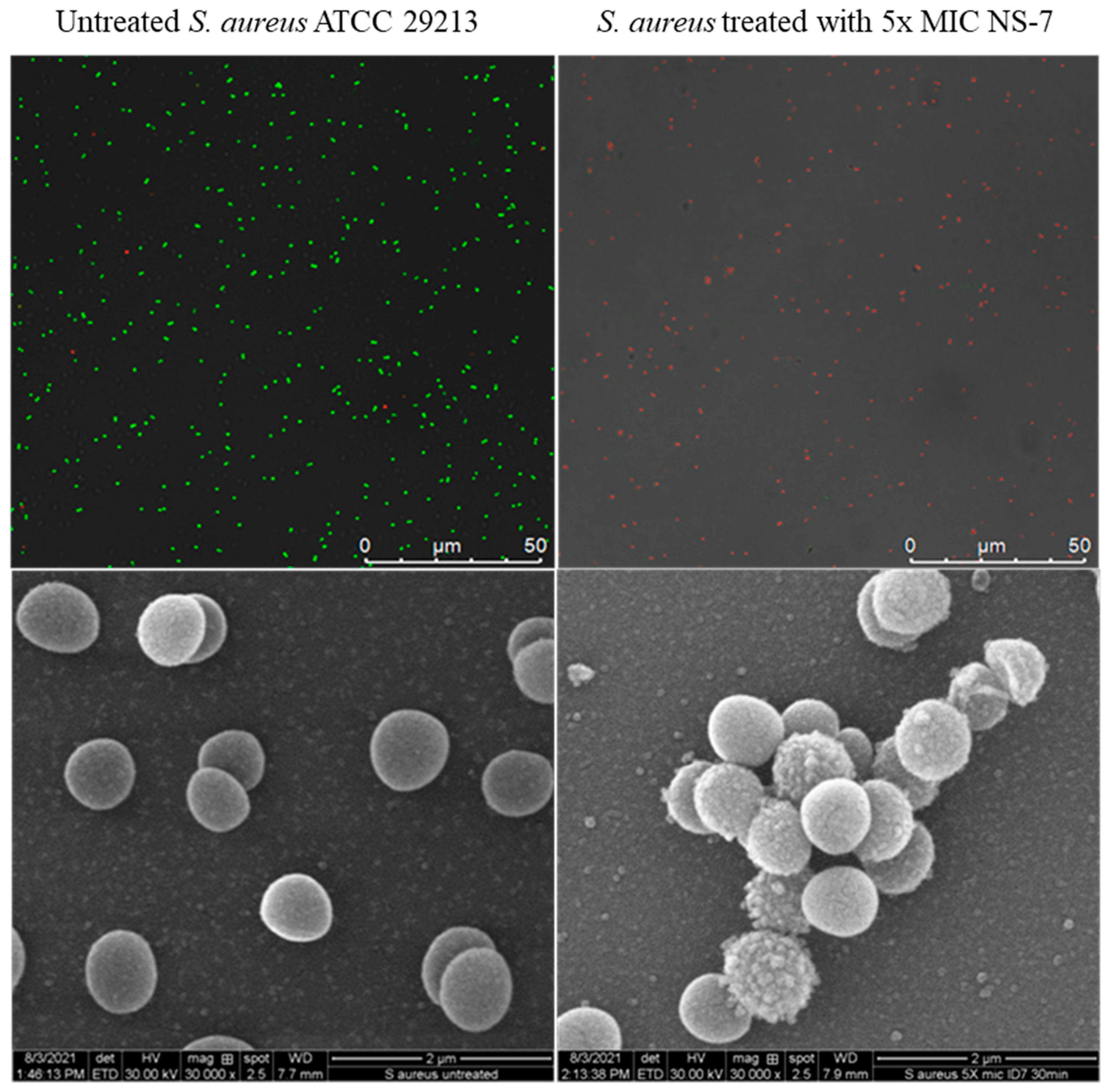Antibiotics 12 01483 g007