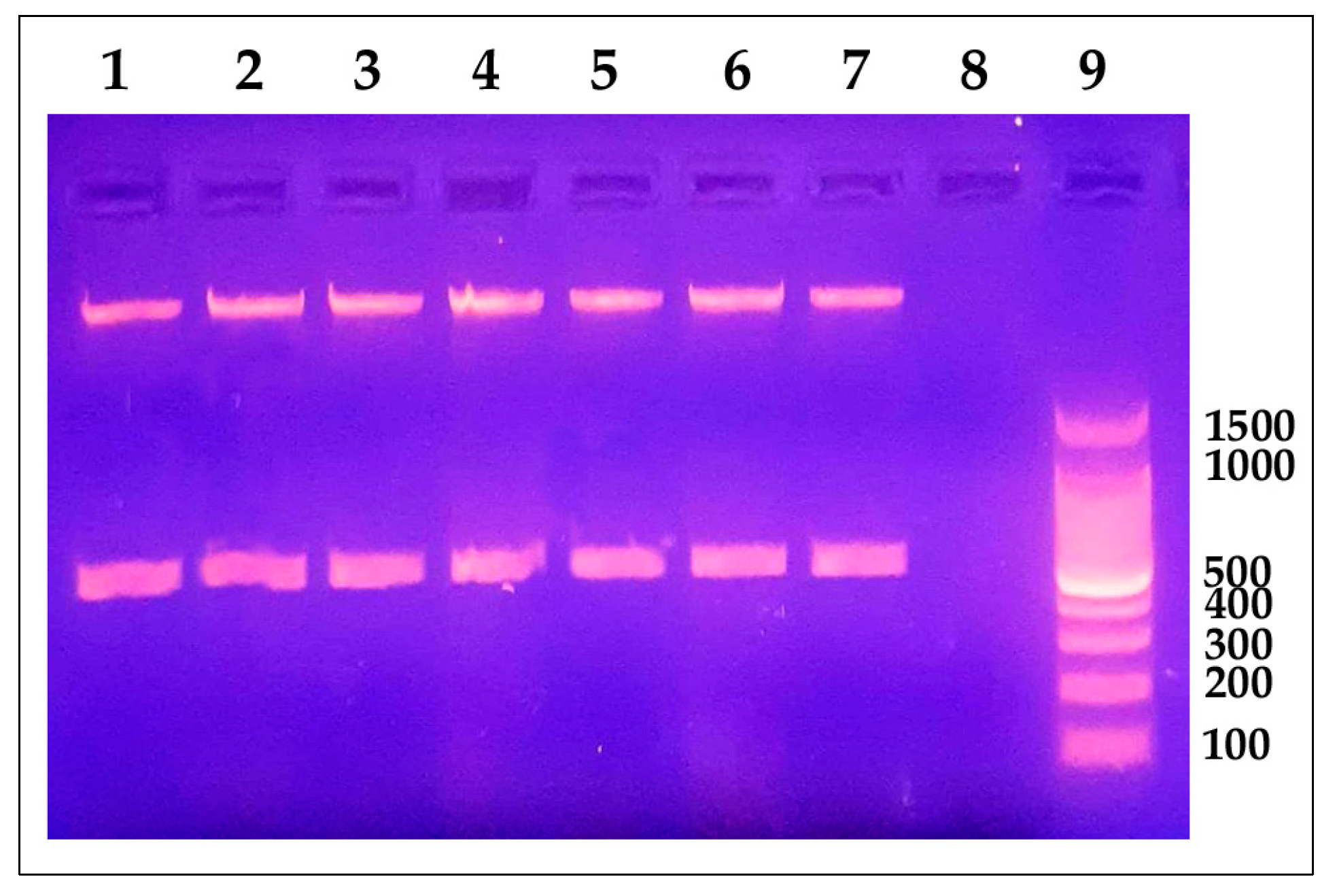 Antibiotics 12 01484 g002