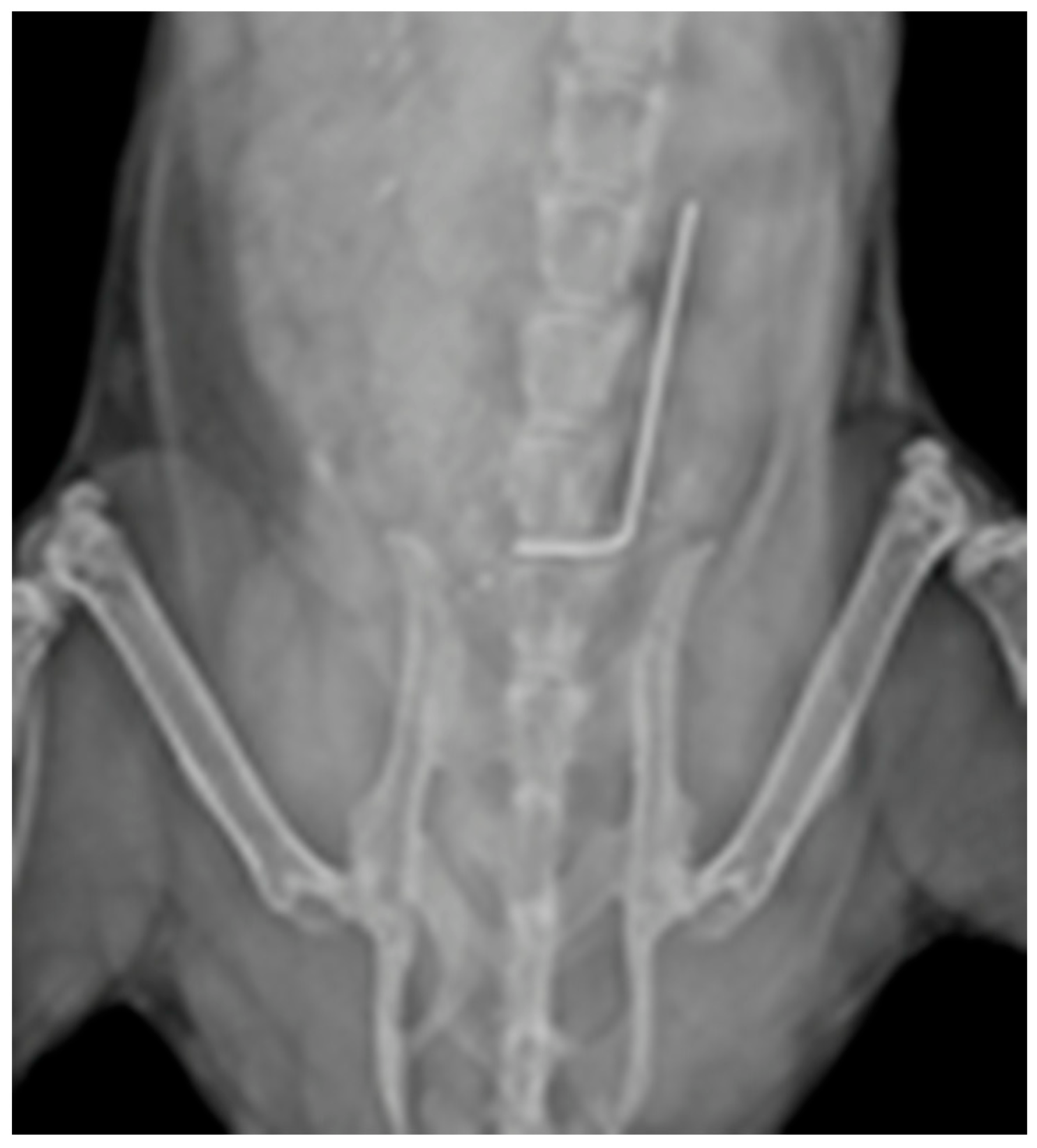 Antibiotics 12 01490 g001