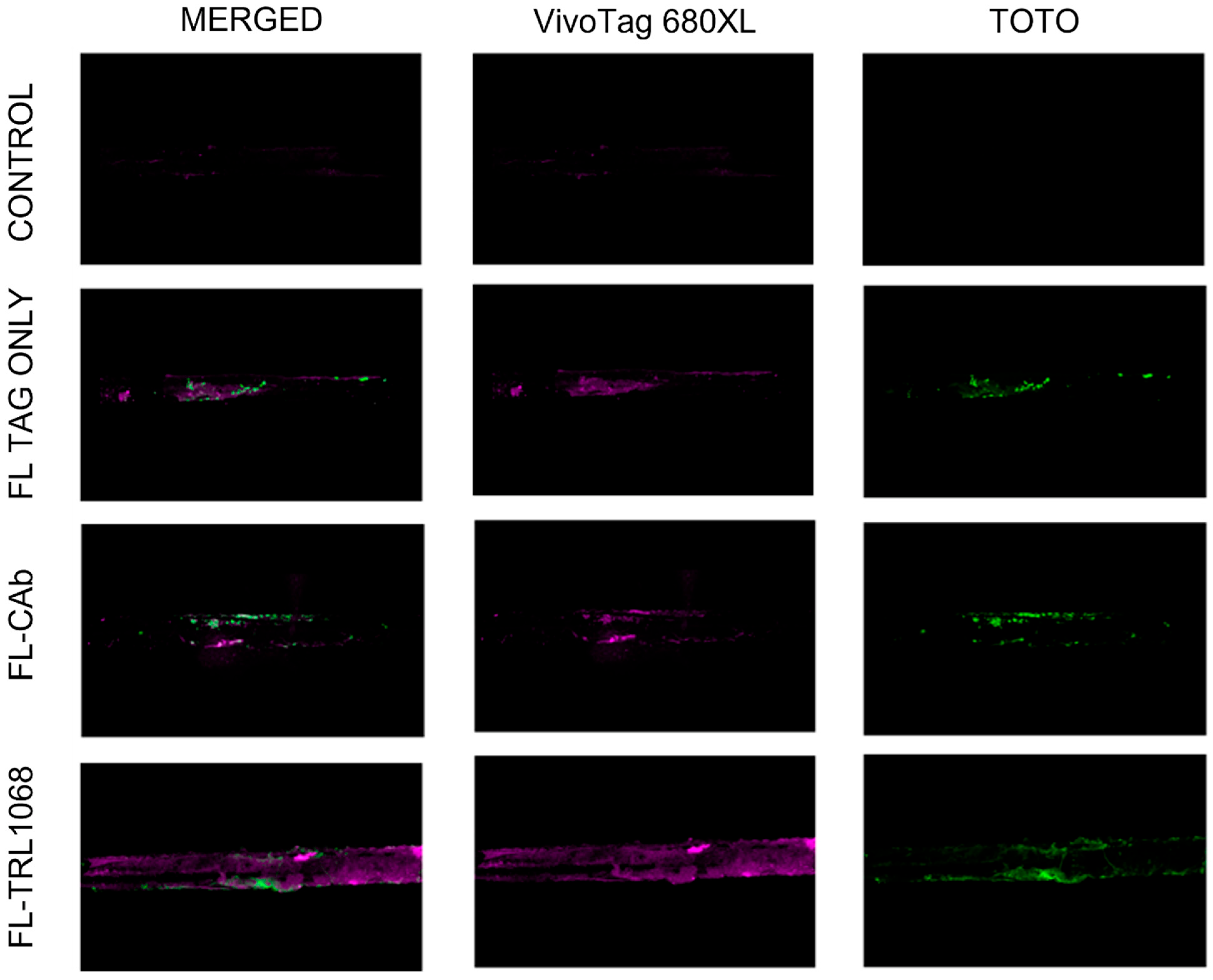 Antibiotics 12 01490 g002