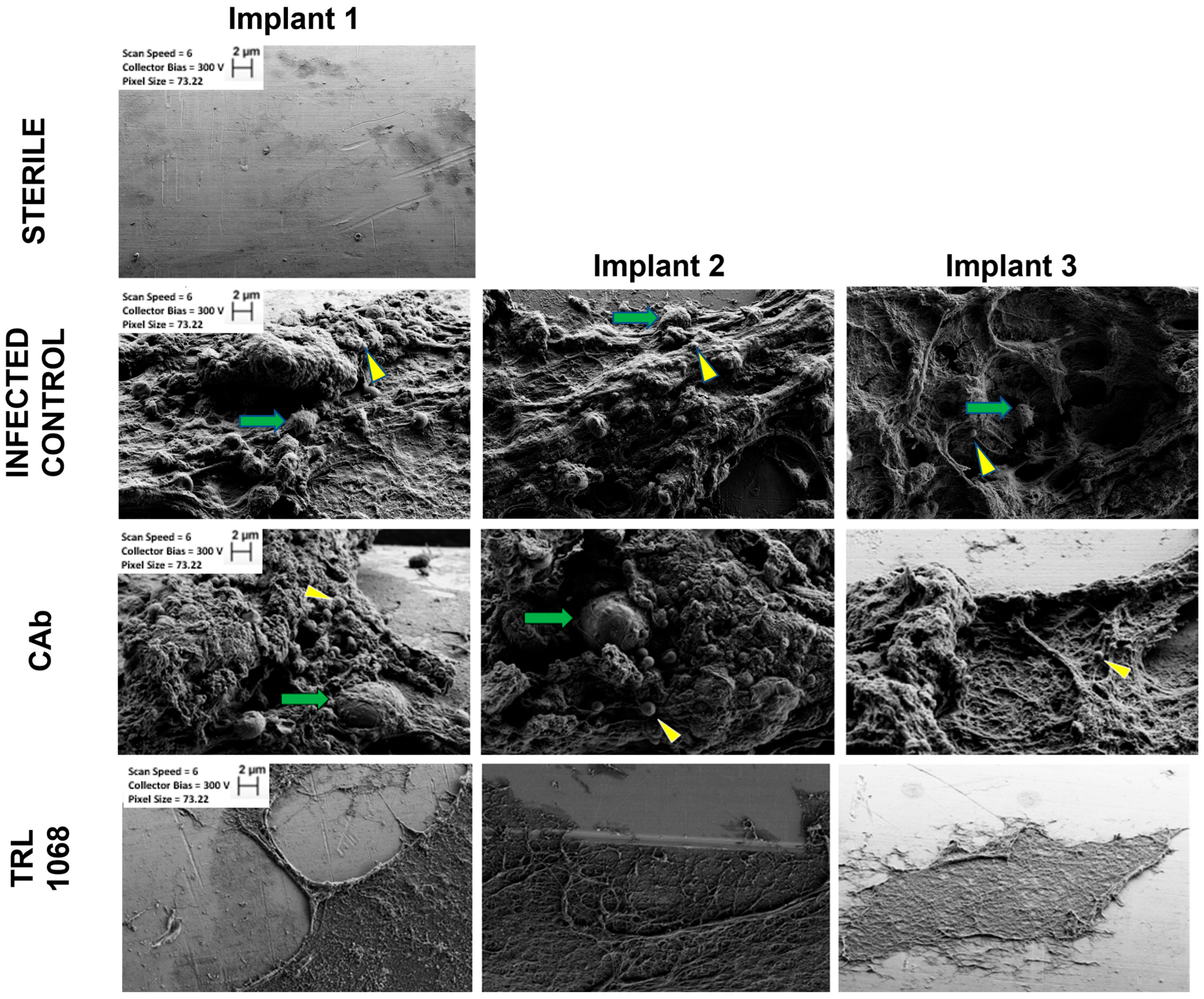Antibiotics 12 01490 g003