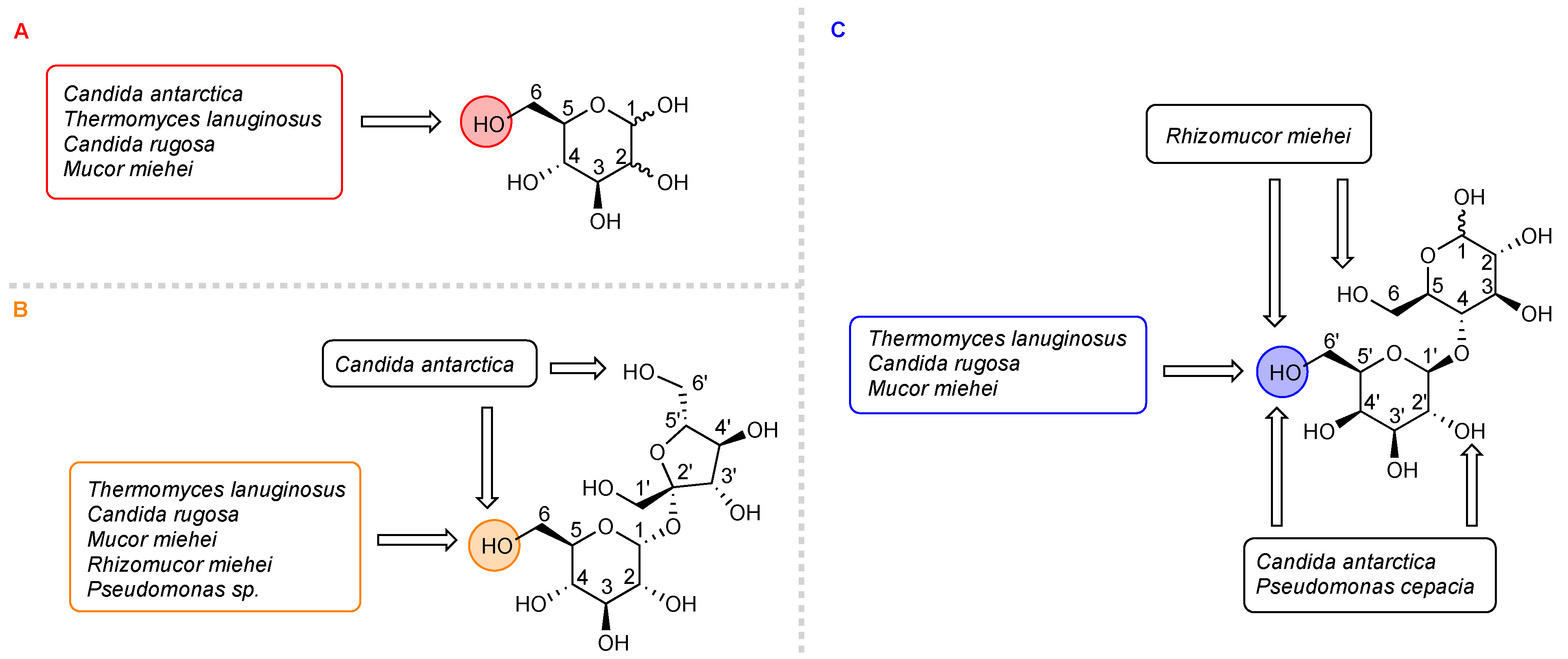Antibiotics 12 01500 g002 Antibiotics 12 01500 g002