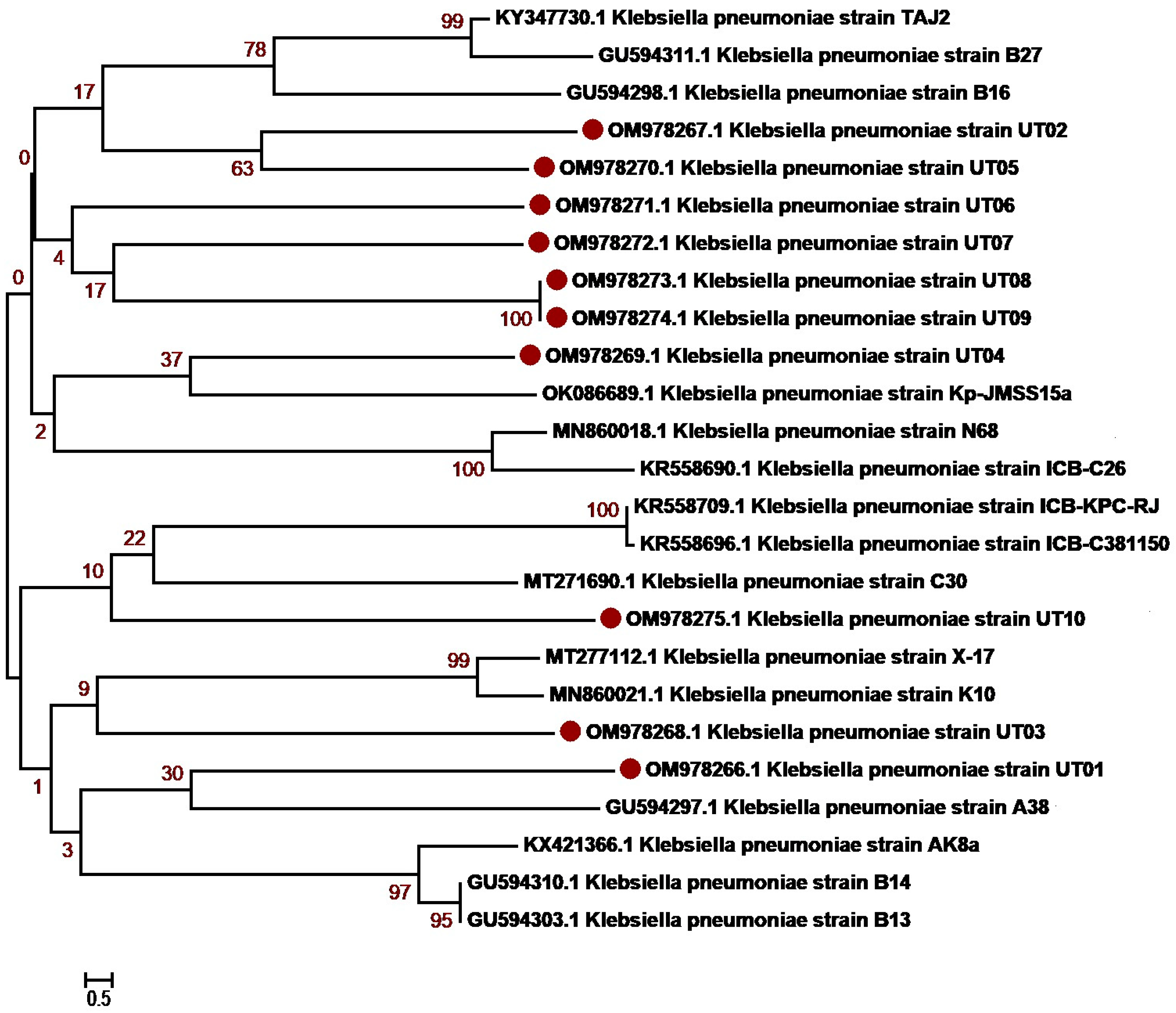 Antibiotics 12 01508 g002