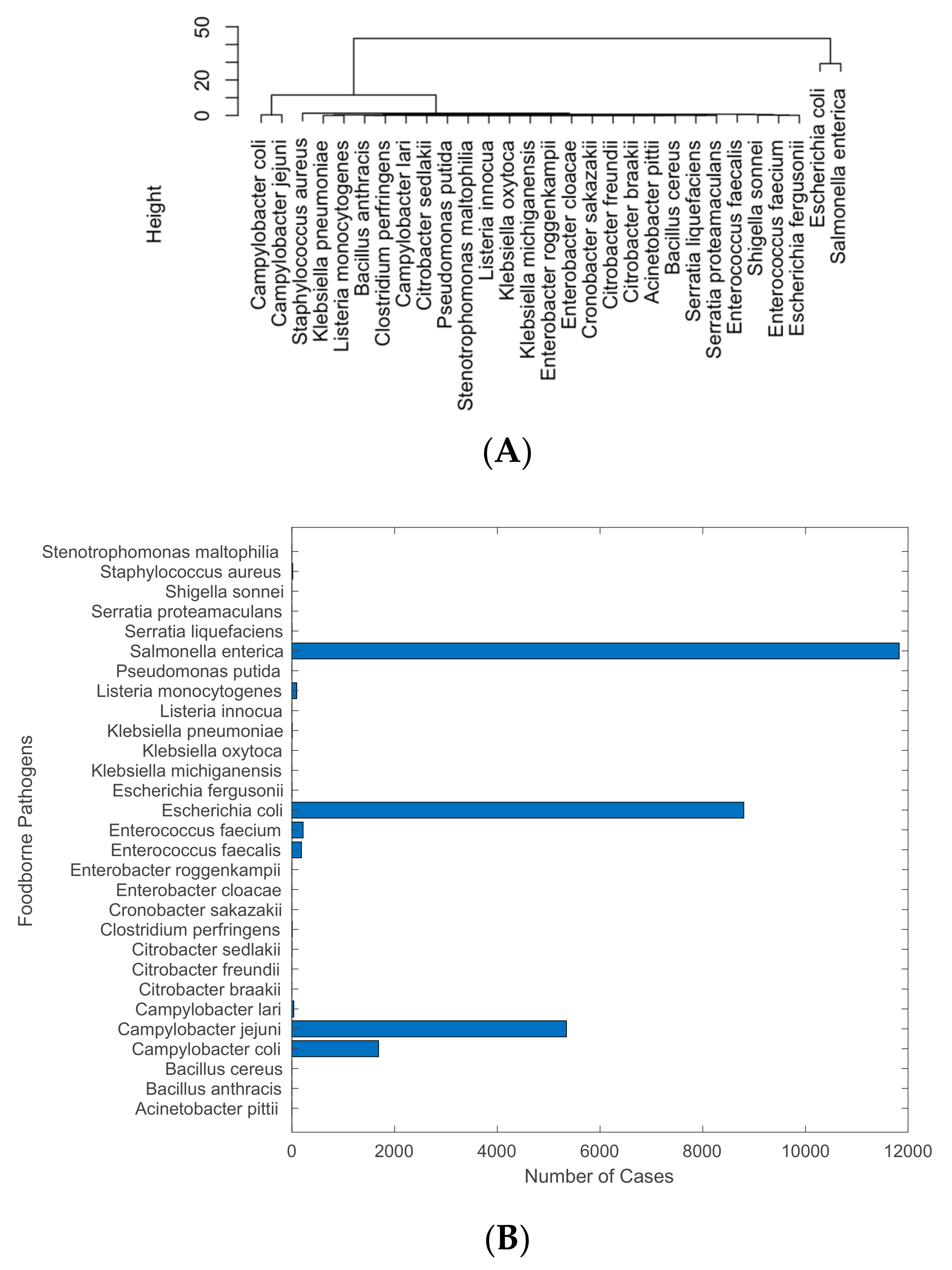 Antibiotics 12 01509 g001