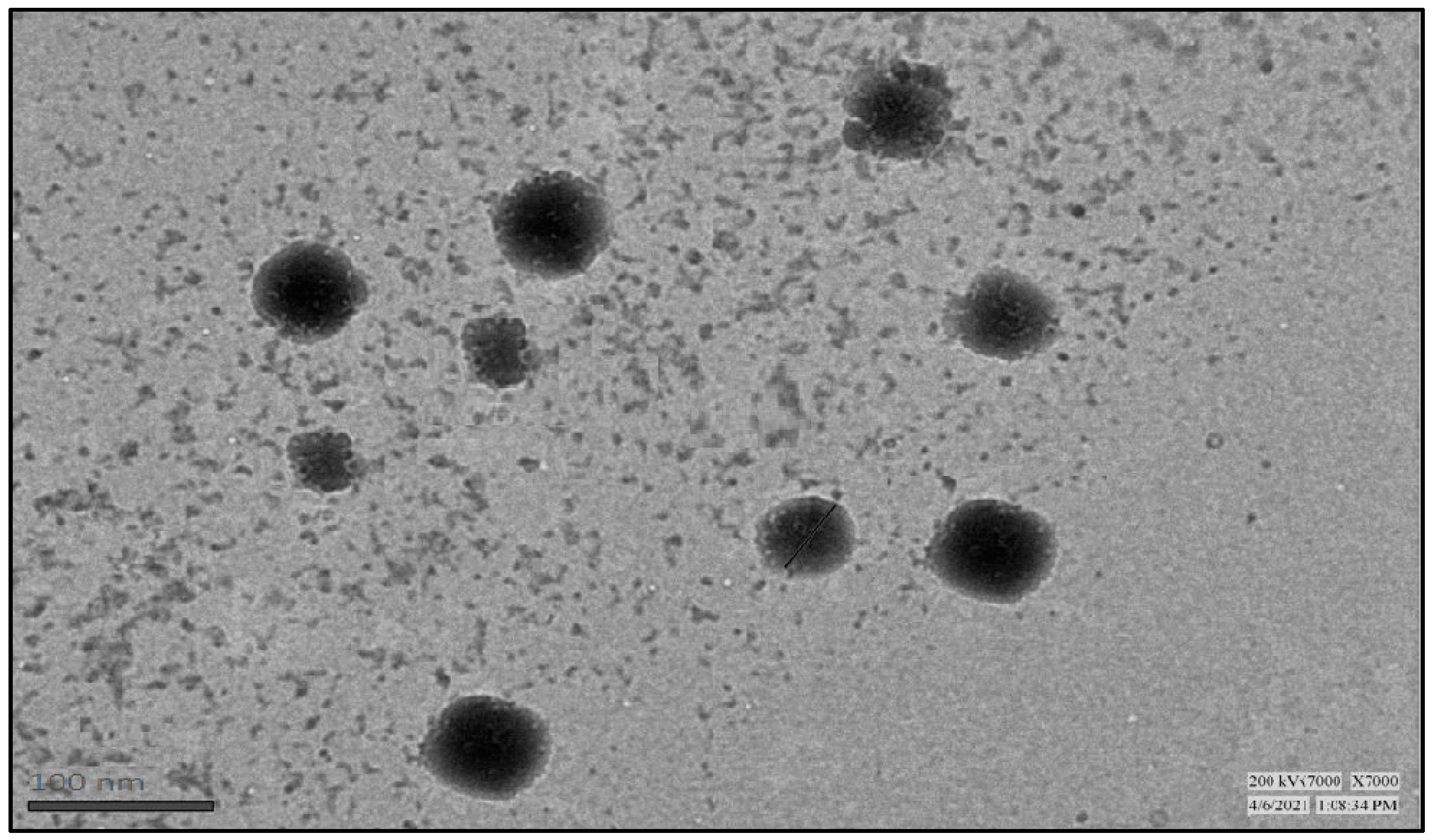 Antibiotics 12 01510 g005