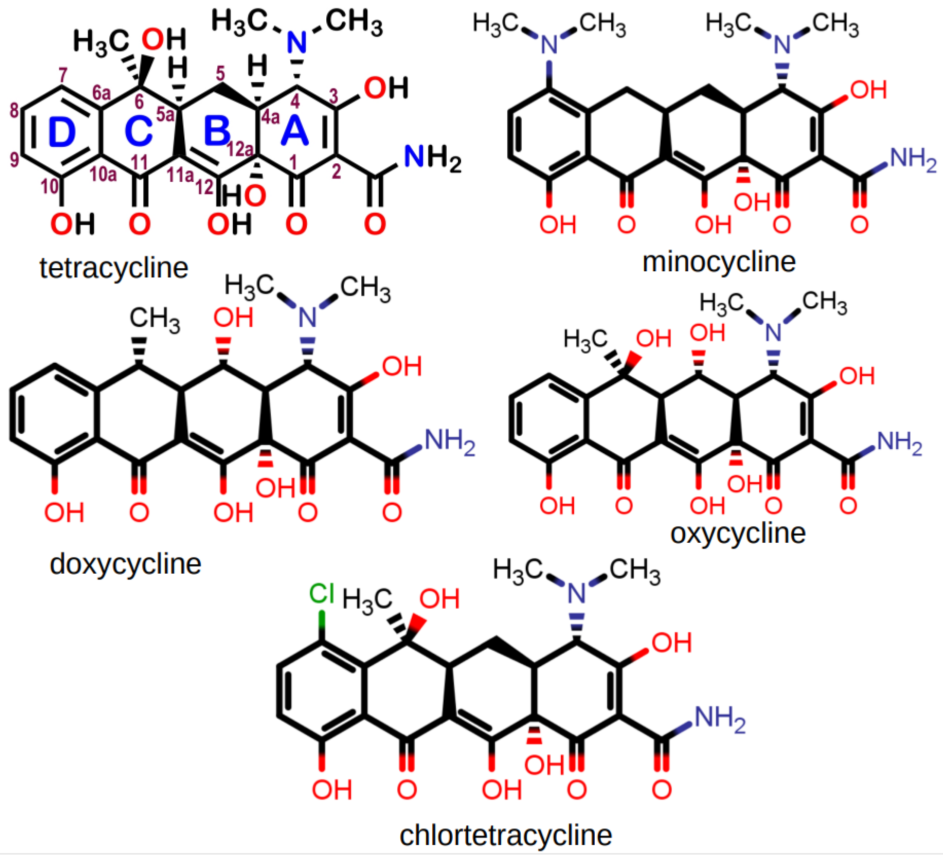 Antibiotics 12 01513 g008 Antibiotics 12 01513 g008