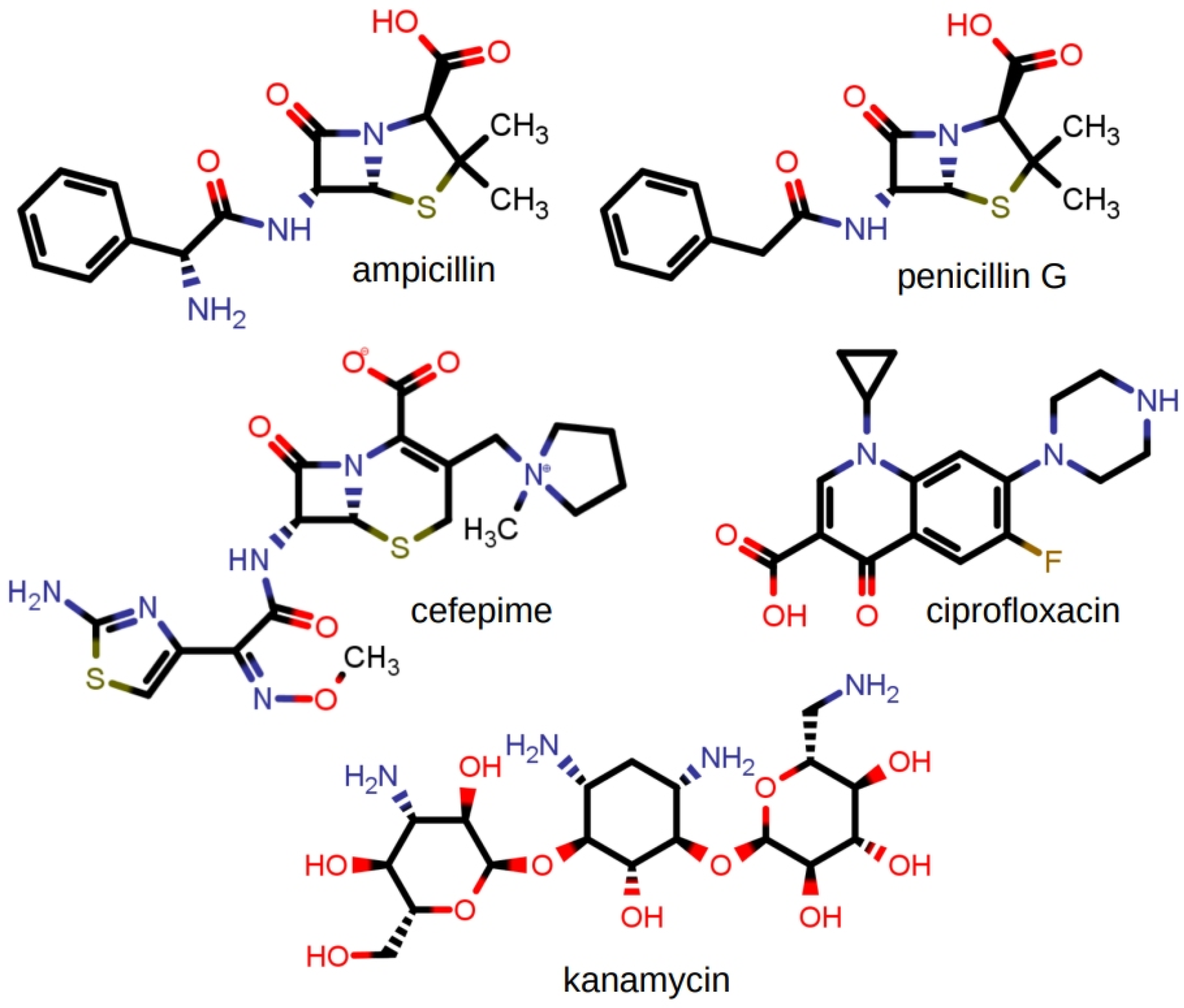 Antibiotics 12 01513 g013 Antibiotics 12 01513 g013