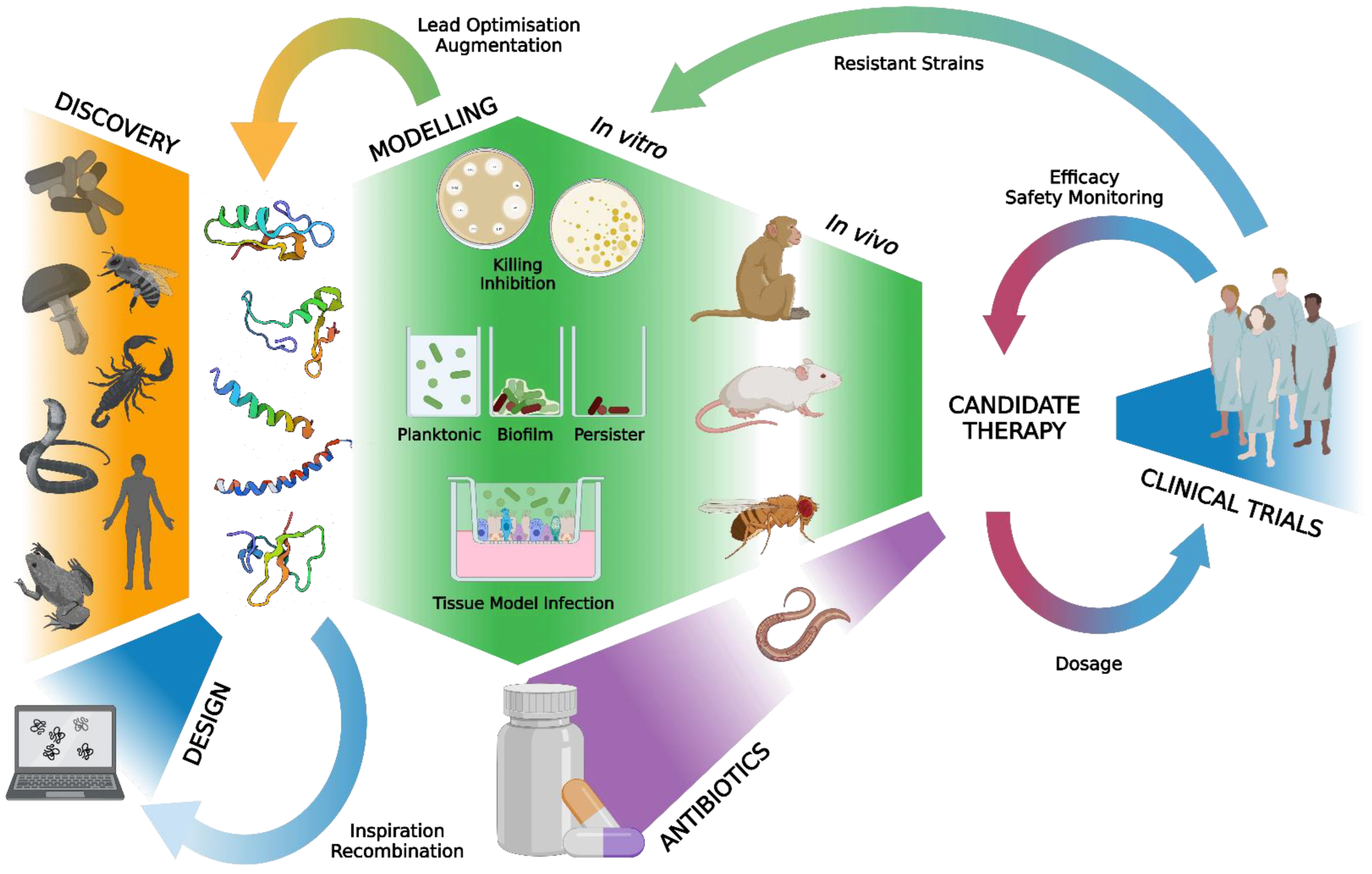 Antibiotics 12 01518 g001