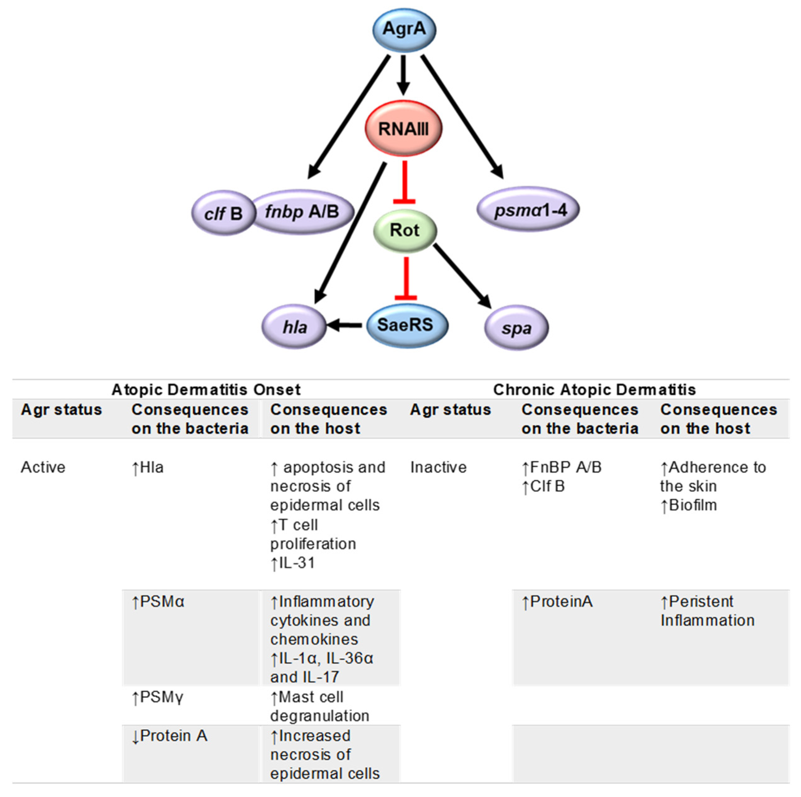 Antibiotics 12 01520 g003 Antibiotics 12 01520 g003