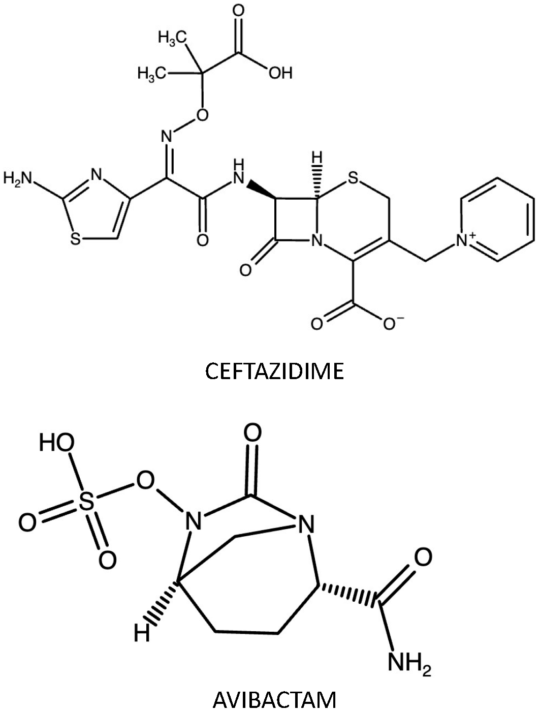 Antibiotics 12 01521 g001