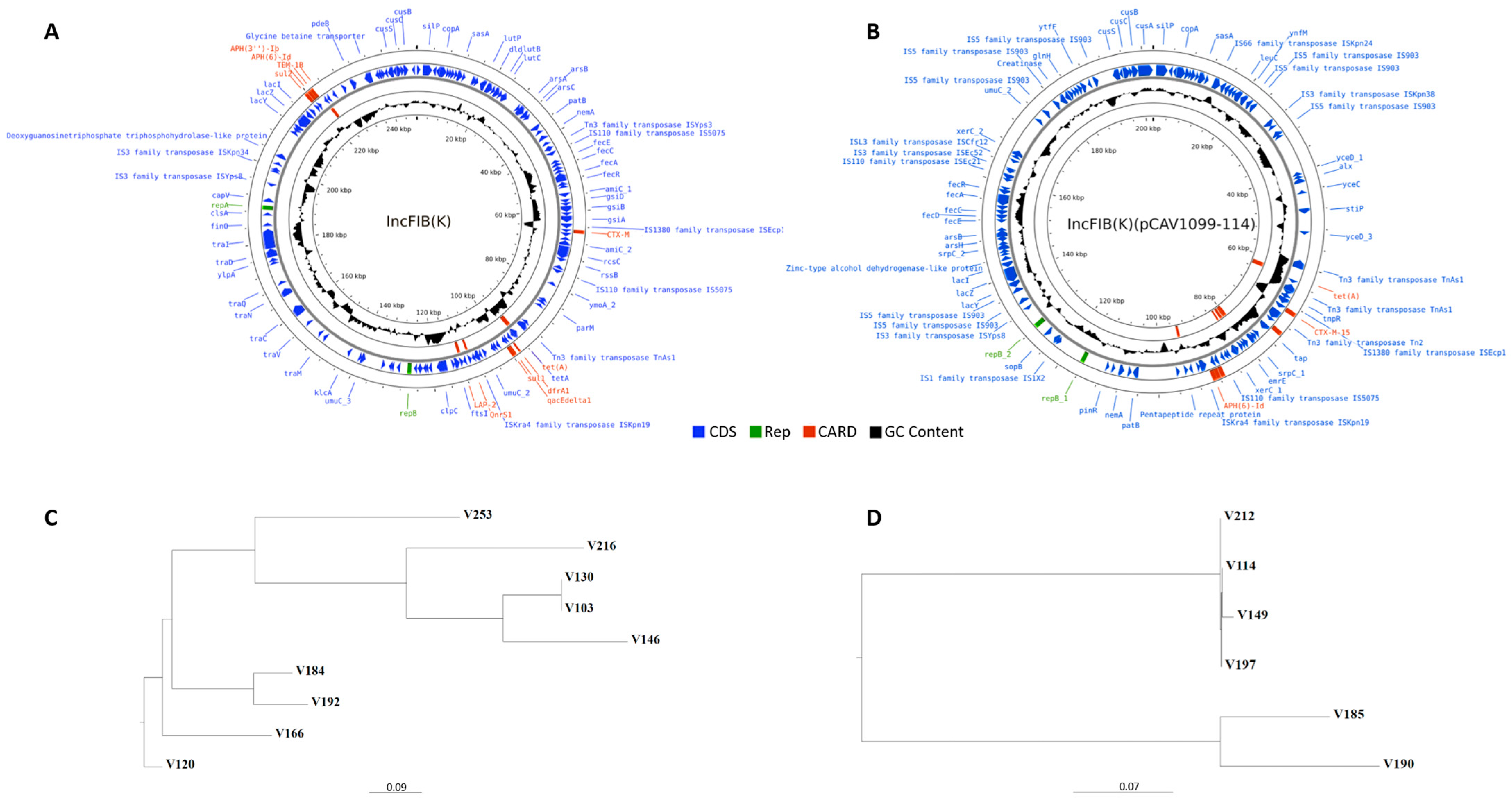 Antibiotics 12 01528 g005