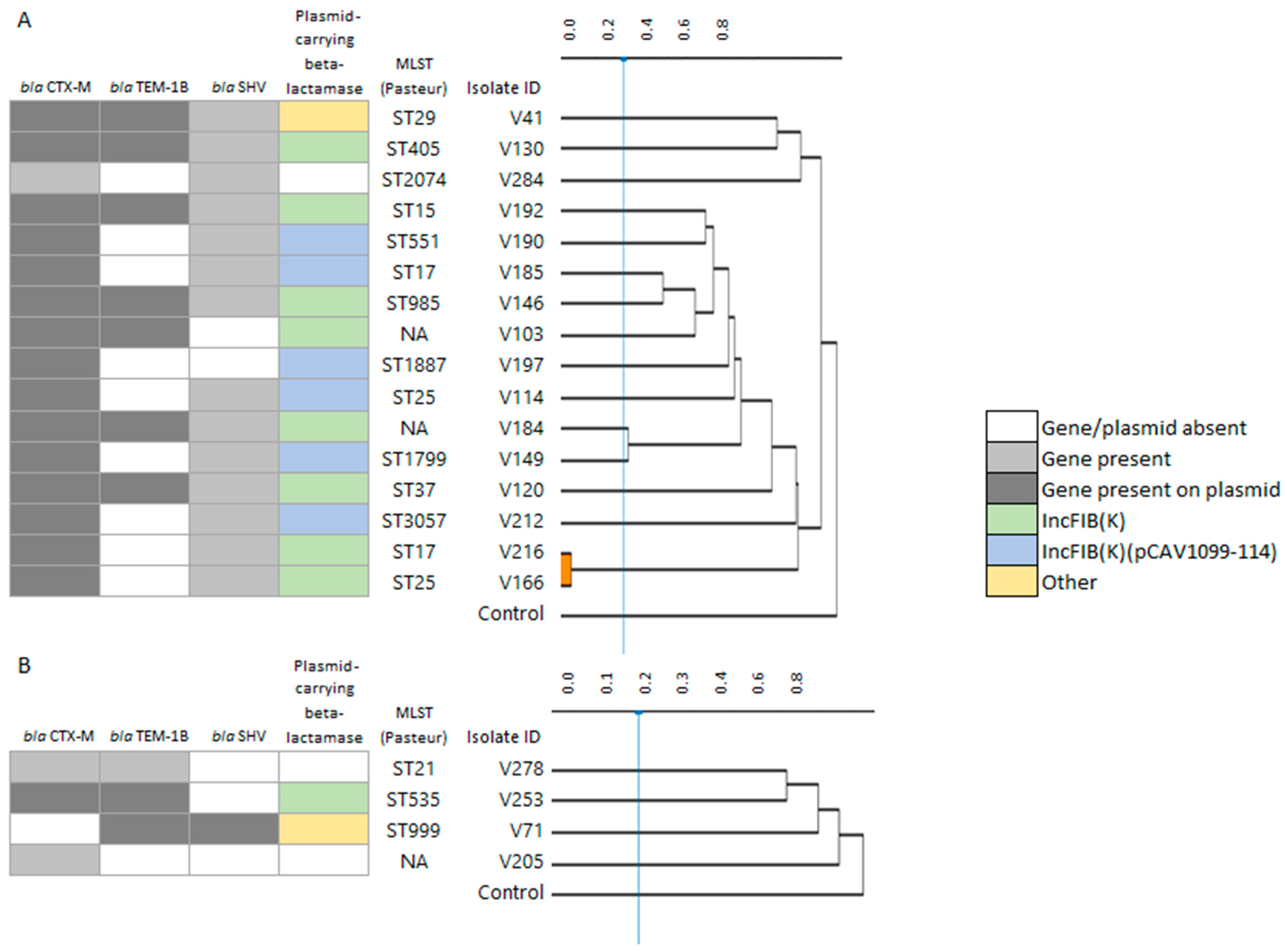 Antibiotics 12 01528 g006