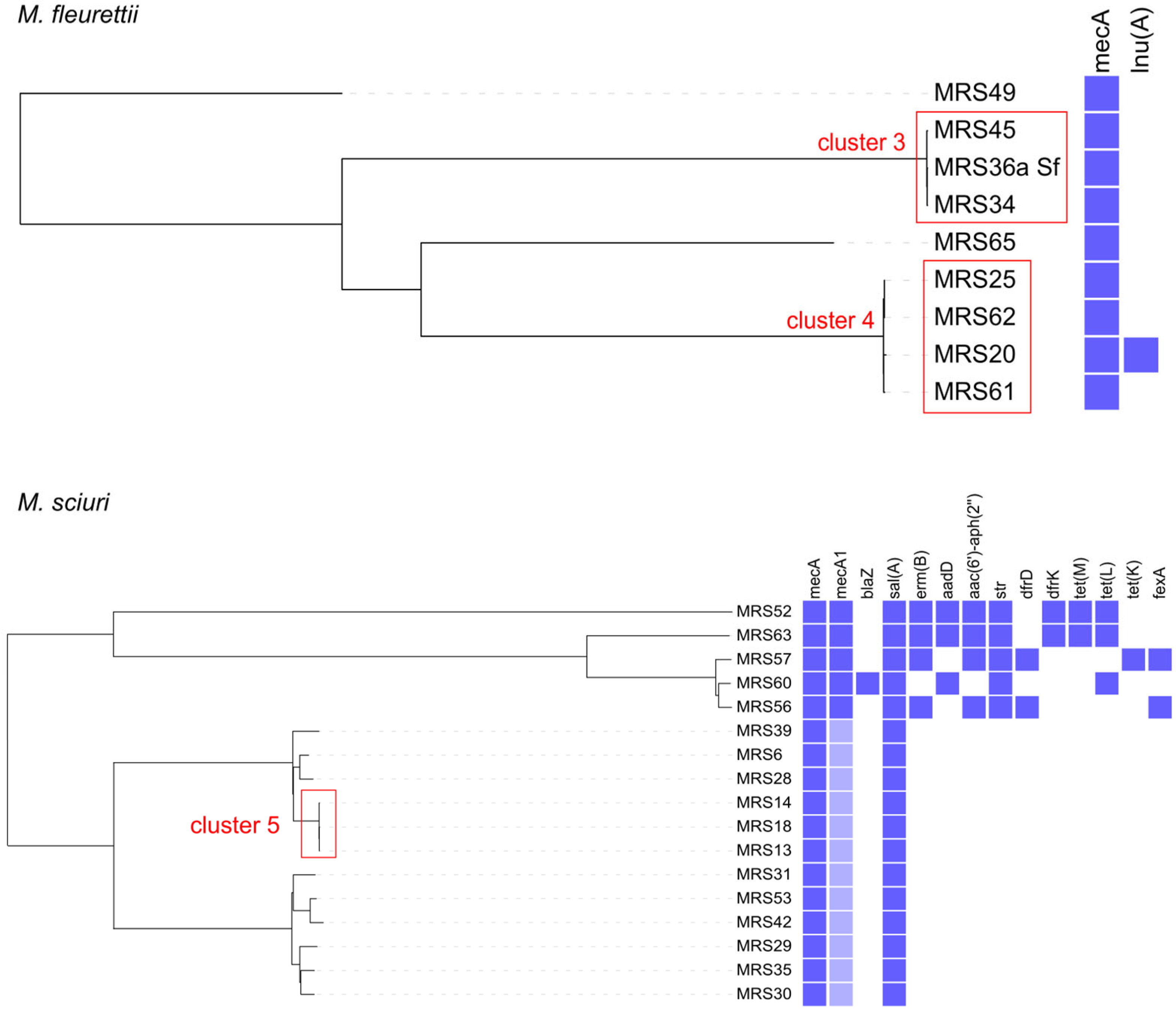 Antibiotics 12 01529 g002