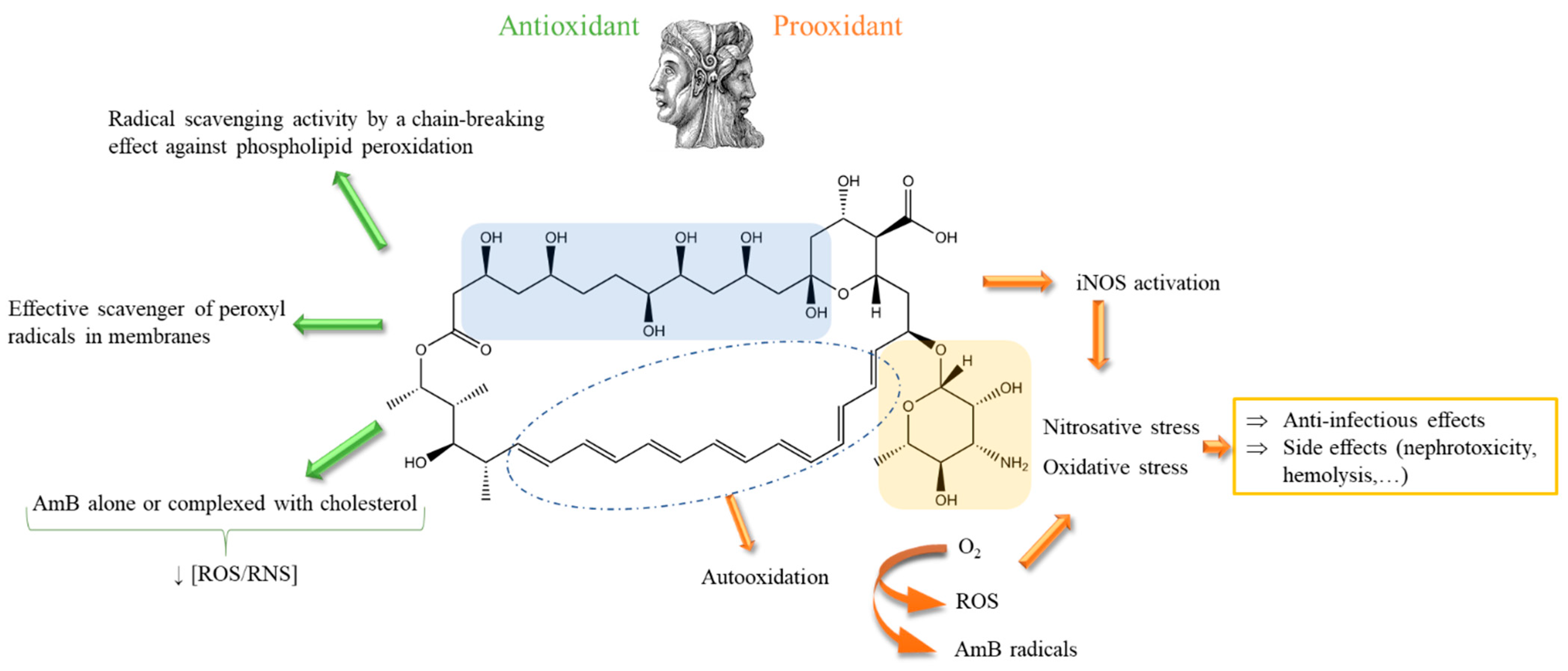 Antibiotics 12 01543 g002 Antibiotics 12 01543 g002