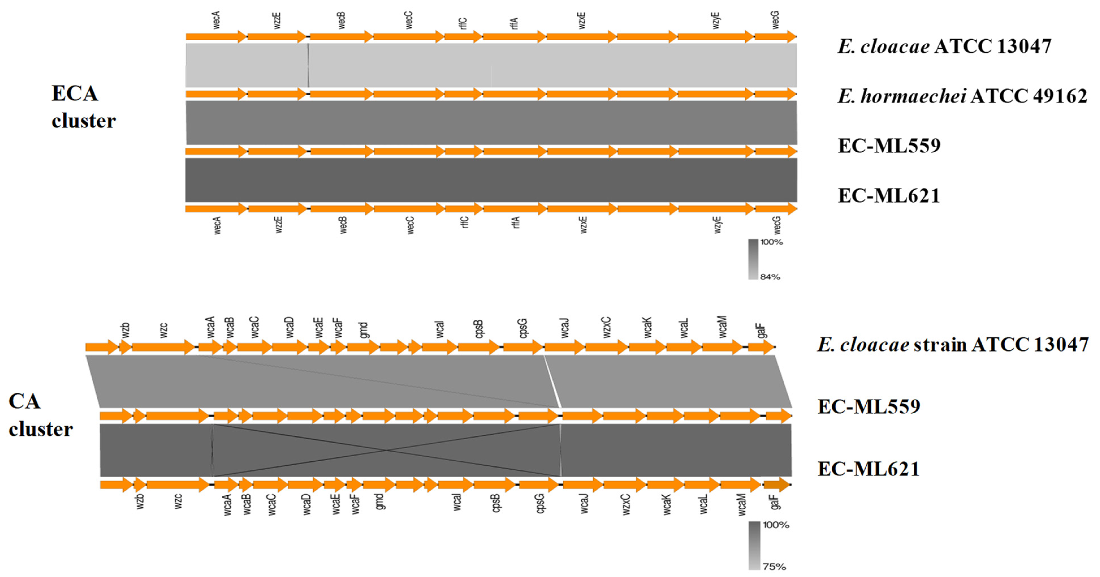 Antibiotics 12 01549 g001 Antibiotics 12 01549 g001