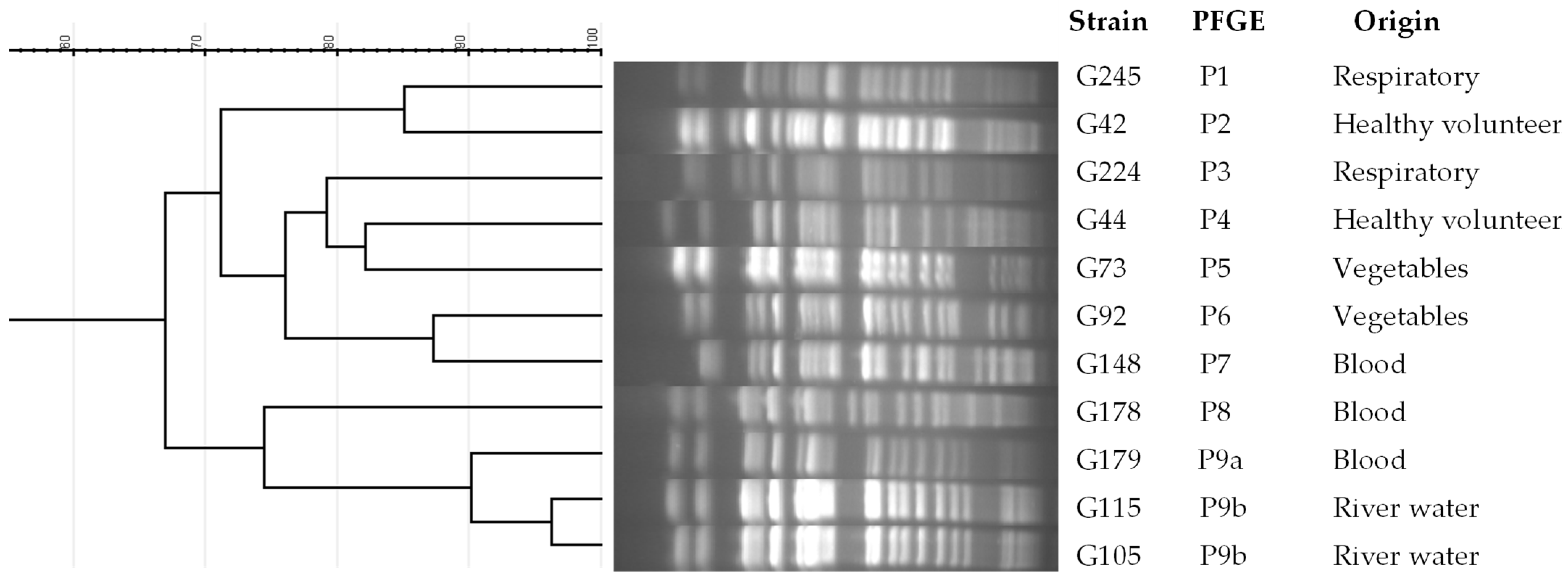Antibiotics 12 01561 g001