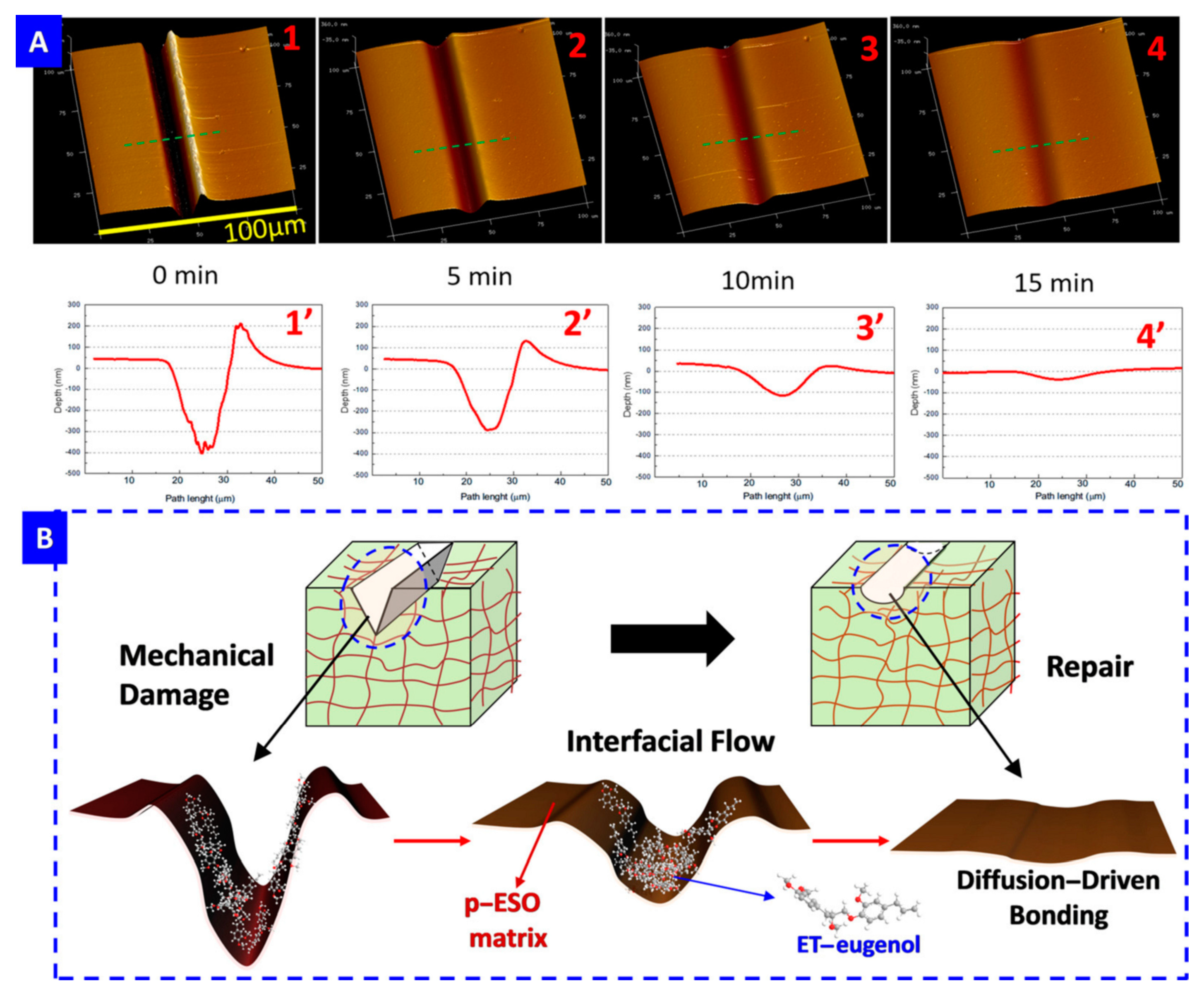 Antibiotics 12 01570 g001