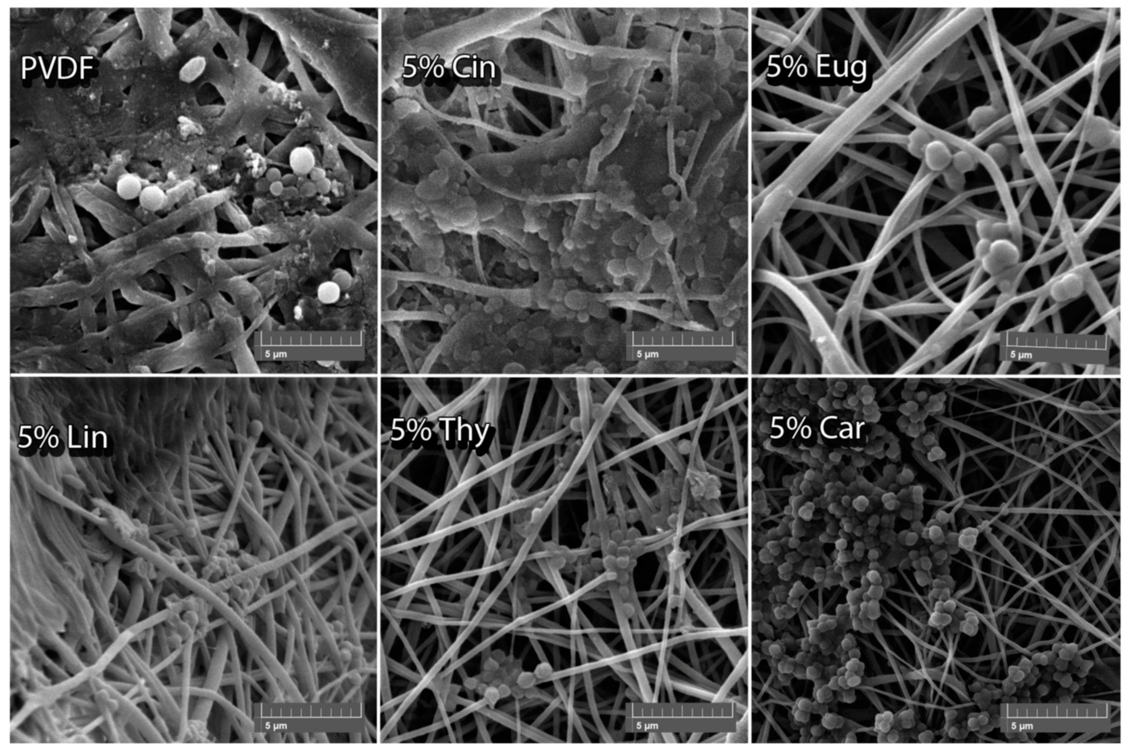 Antibiotics 12 01570 g006