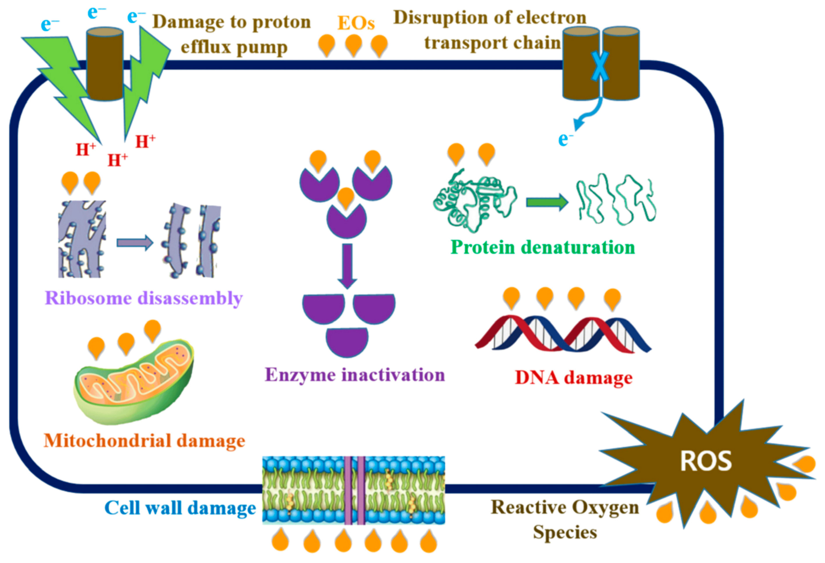 Antibiotics 12 01570 sch002