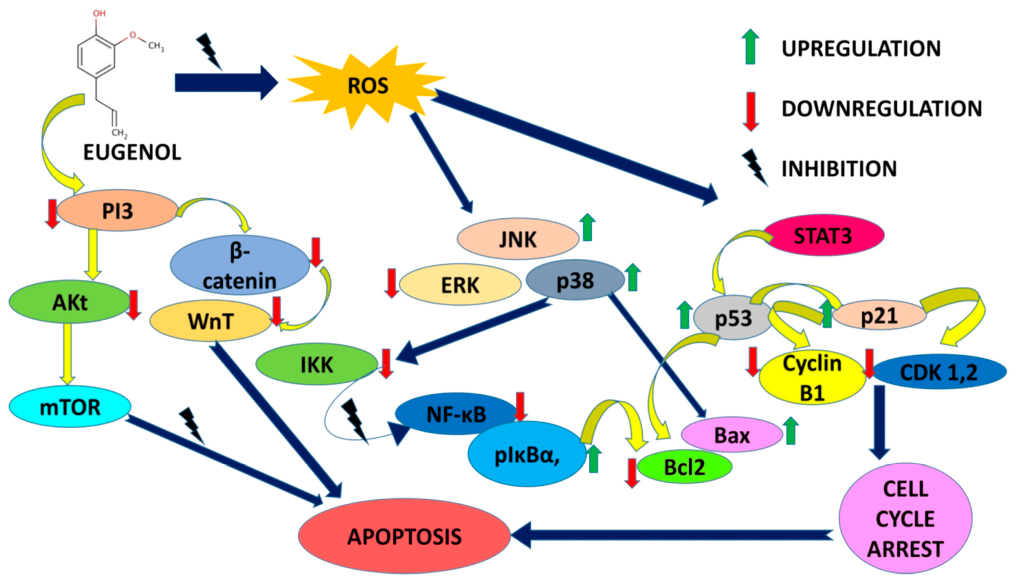 Antibiotics 12 01570 sch004