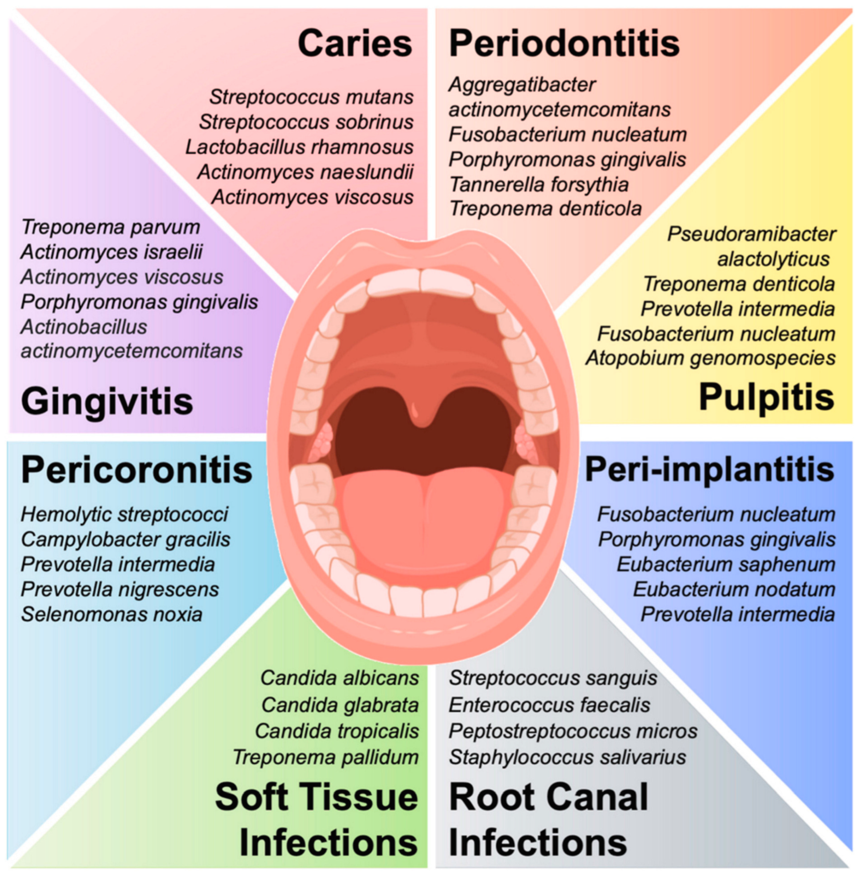Antibiotics 12 01570 sch005