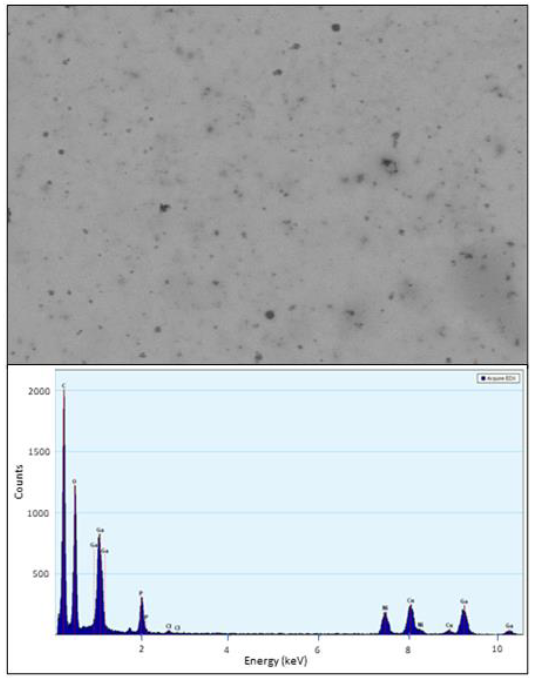 Antibiotics 12 01578 g003