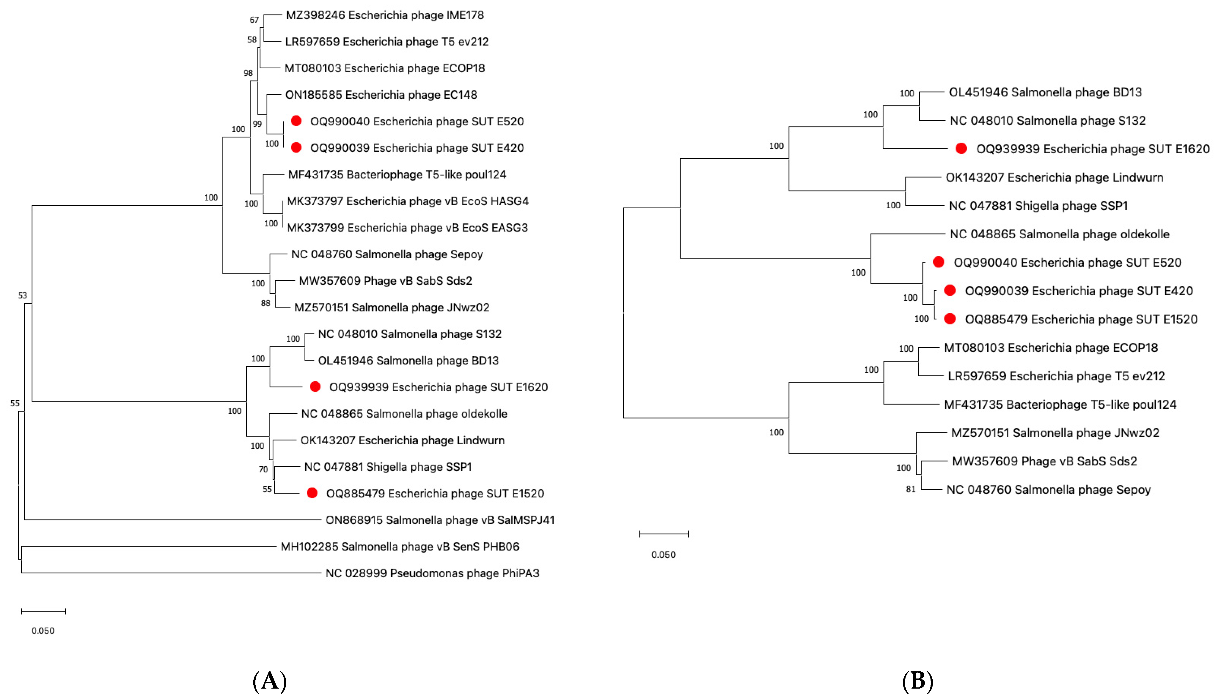 Antibiotics 12 01579 g005
