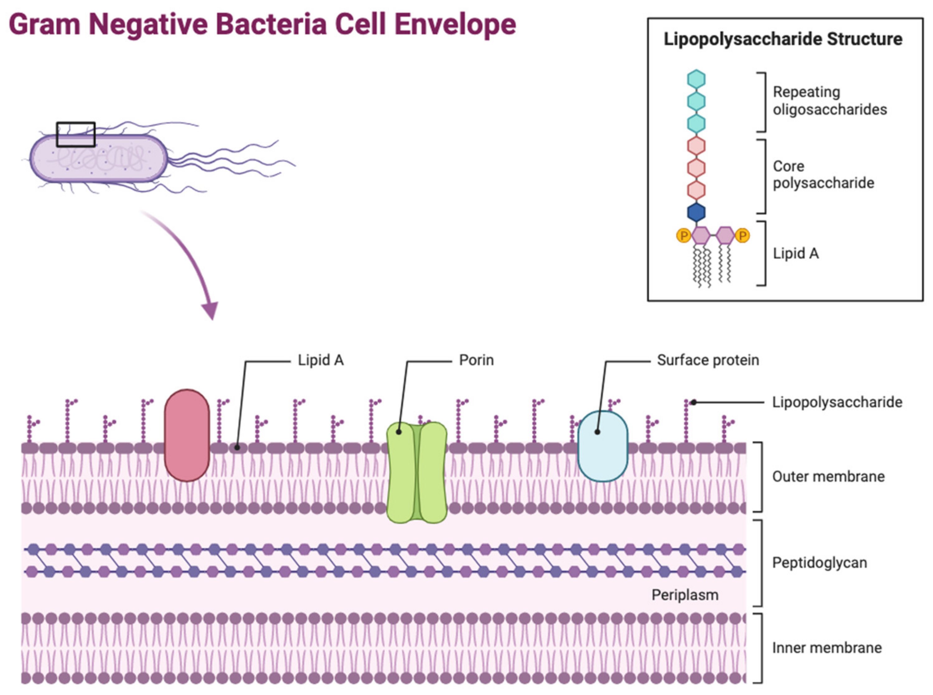 Antibiotics 12 01590 g001