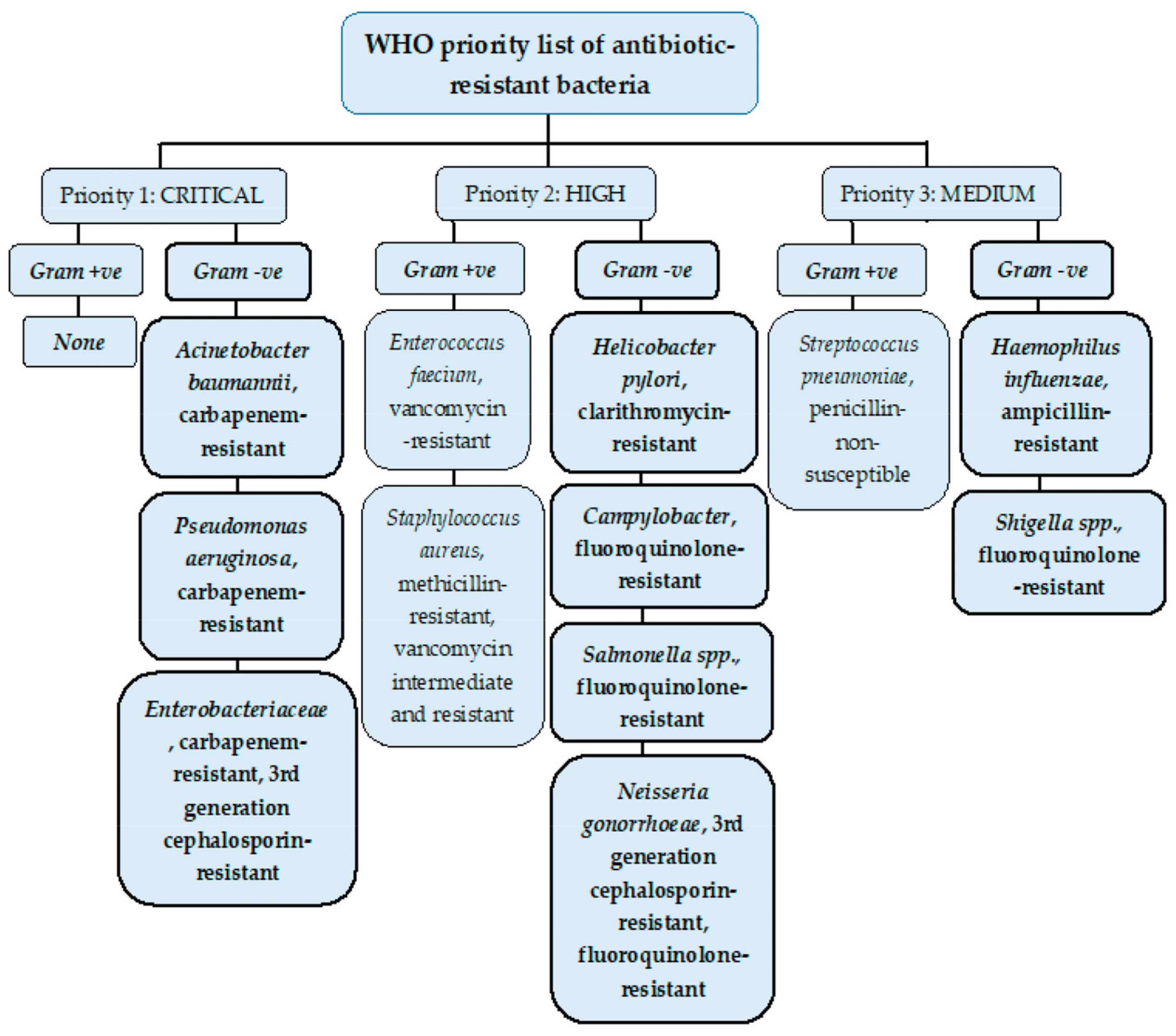 Antibiotics 12 01590 g002