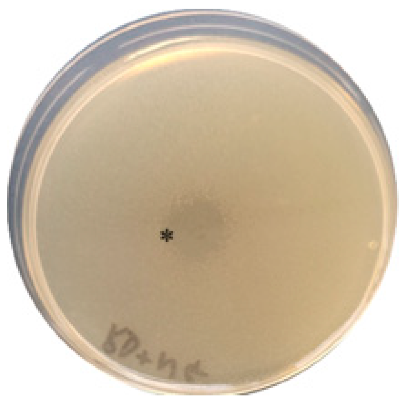 Antibiotics 12 01592 g002