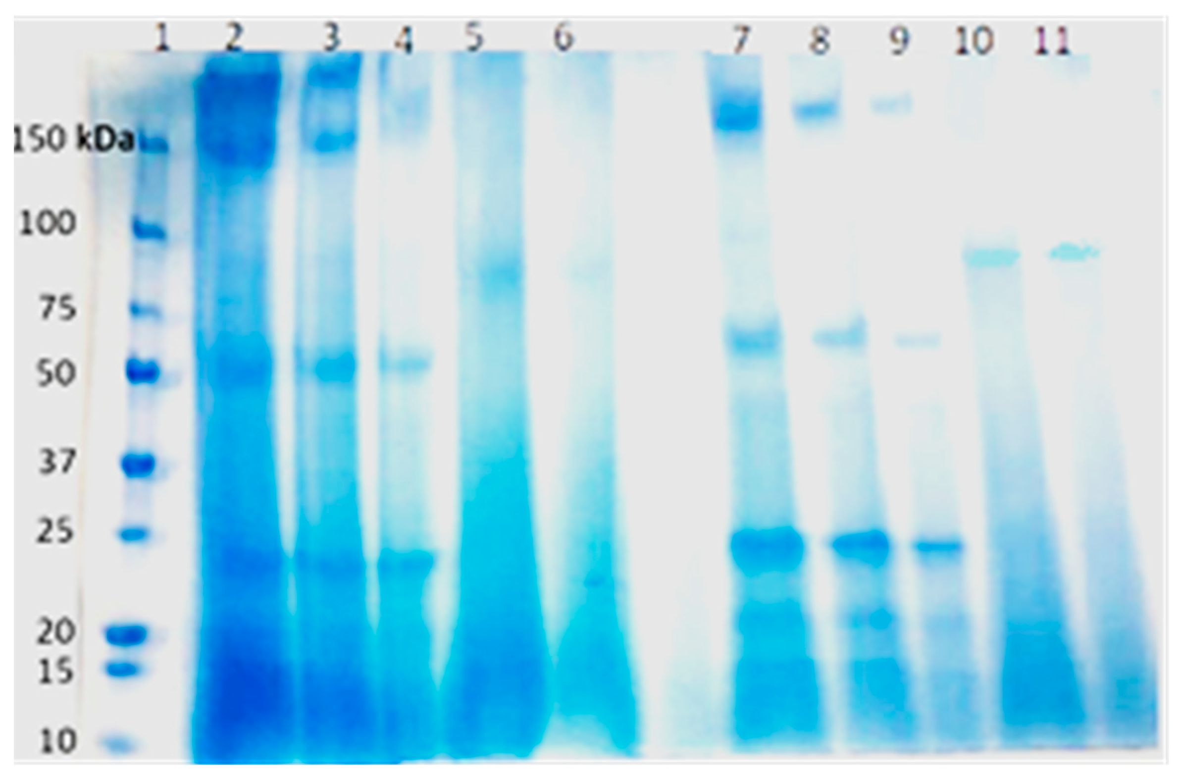 Antibiotics 12 01592 g003