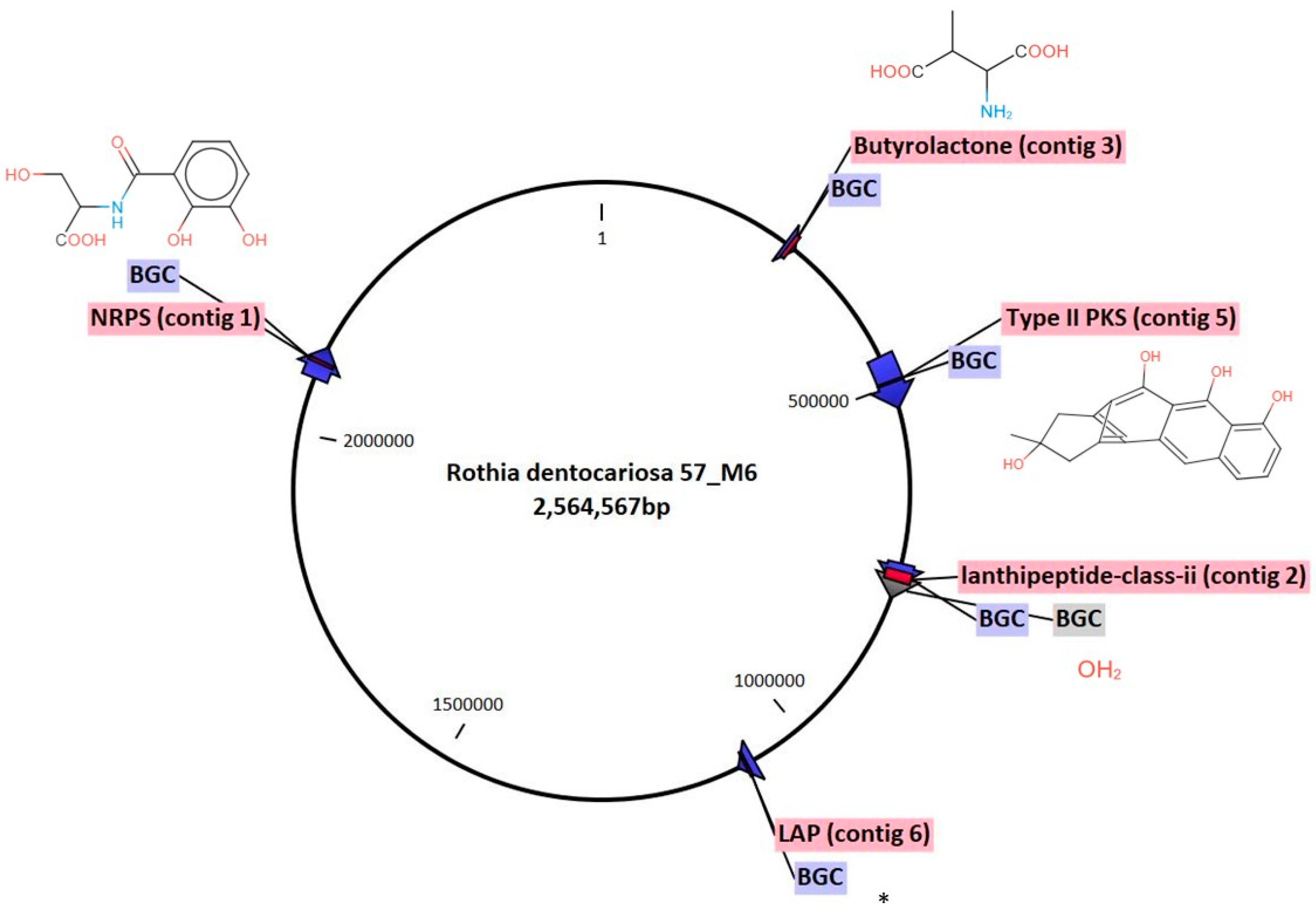 Antibiotics 12 01592 g004