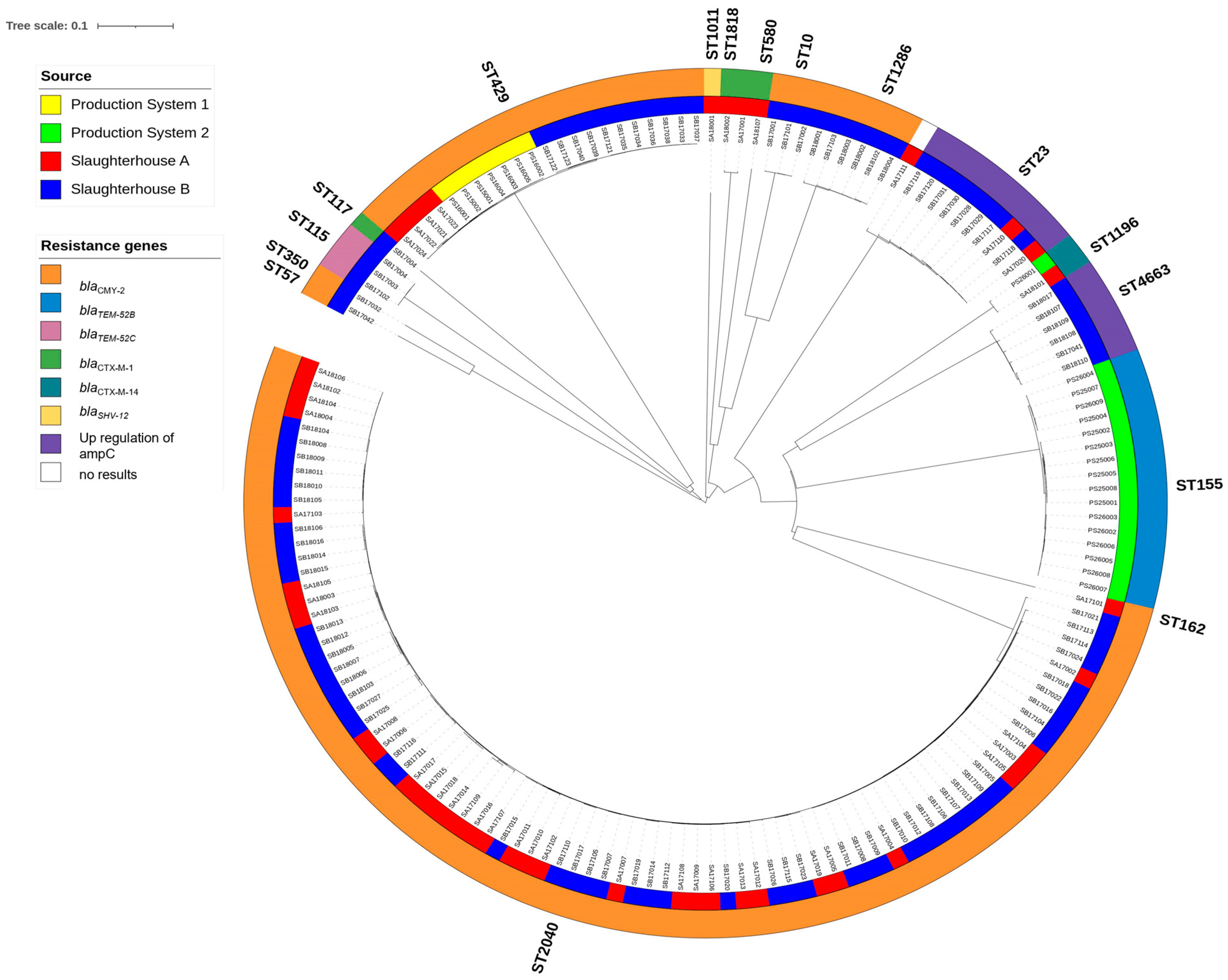 Antibiotics 12 01602 g001
