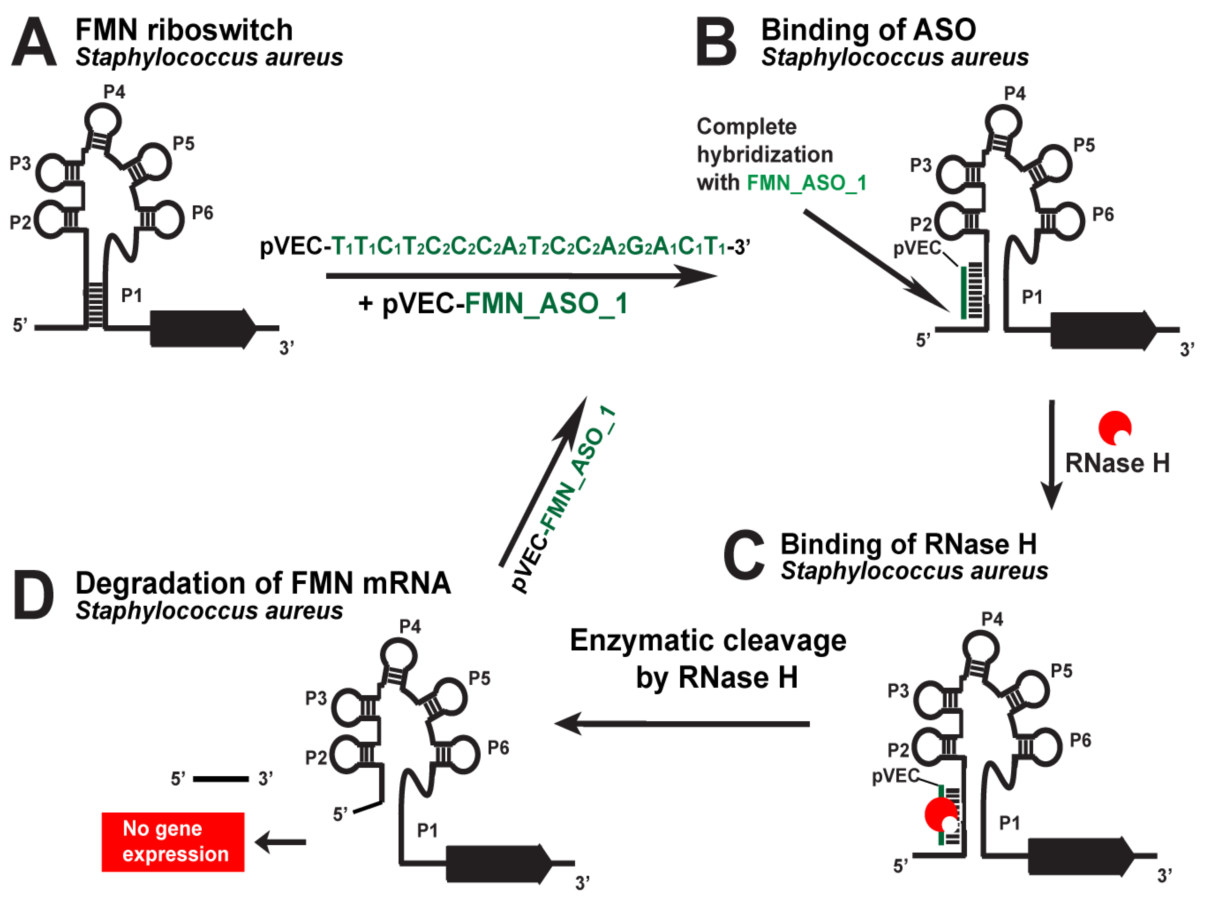 Antibiotics 12 01607 g004 Antibiotics 12 01607 g004