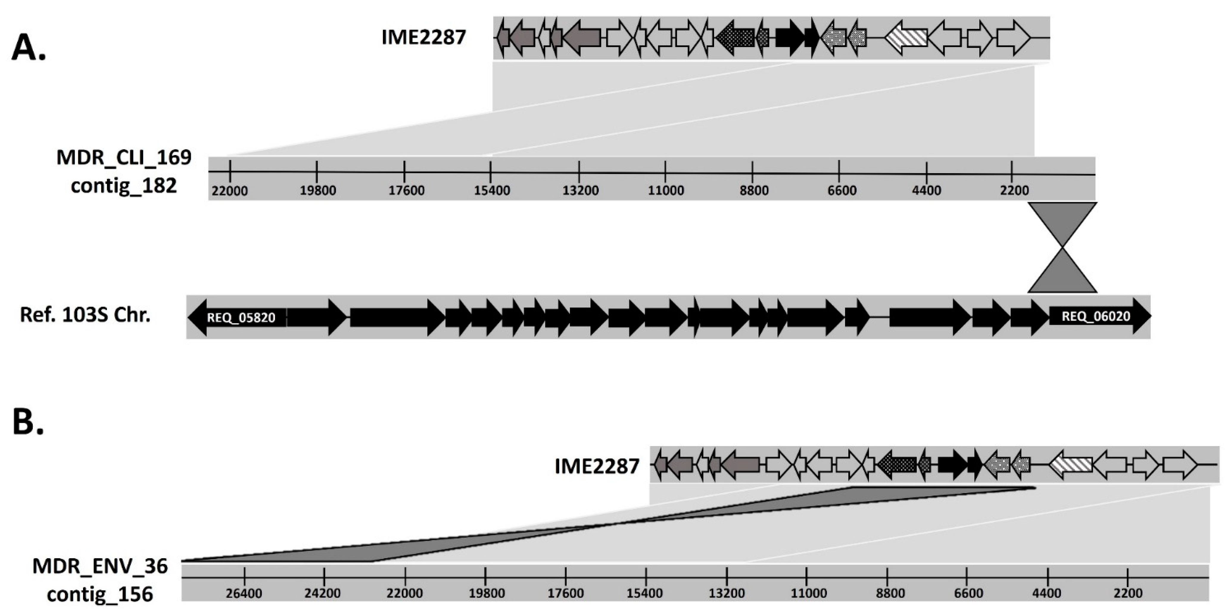 Antibiotics 12 01631 g002
