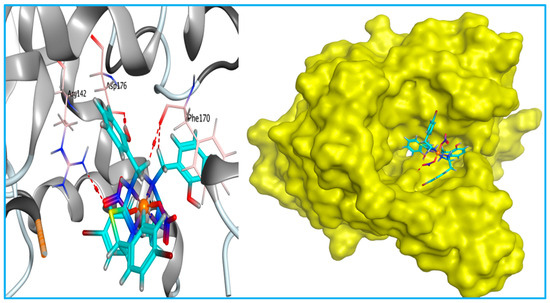 Antimicrobial Activity of Novel Ni(II) and Zn(II) Complexes with 