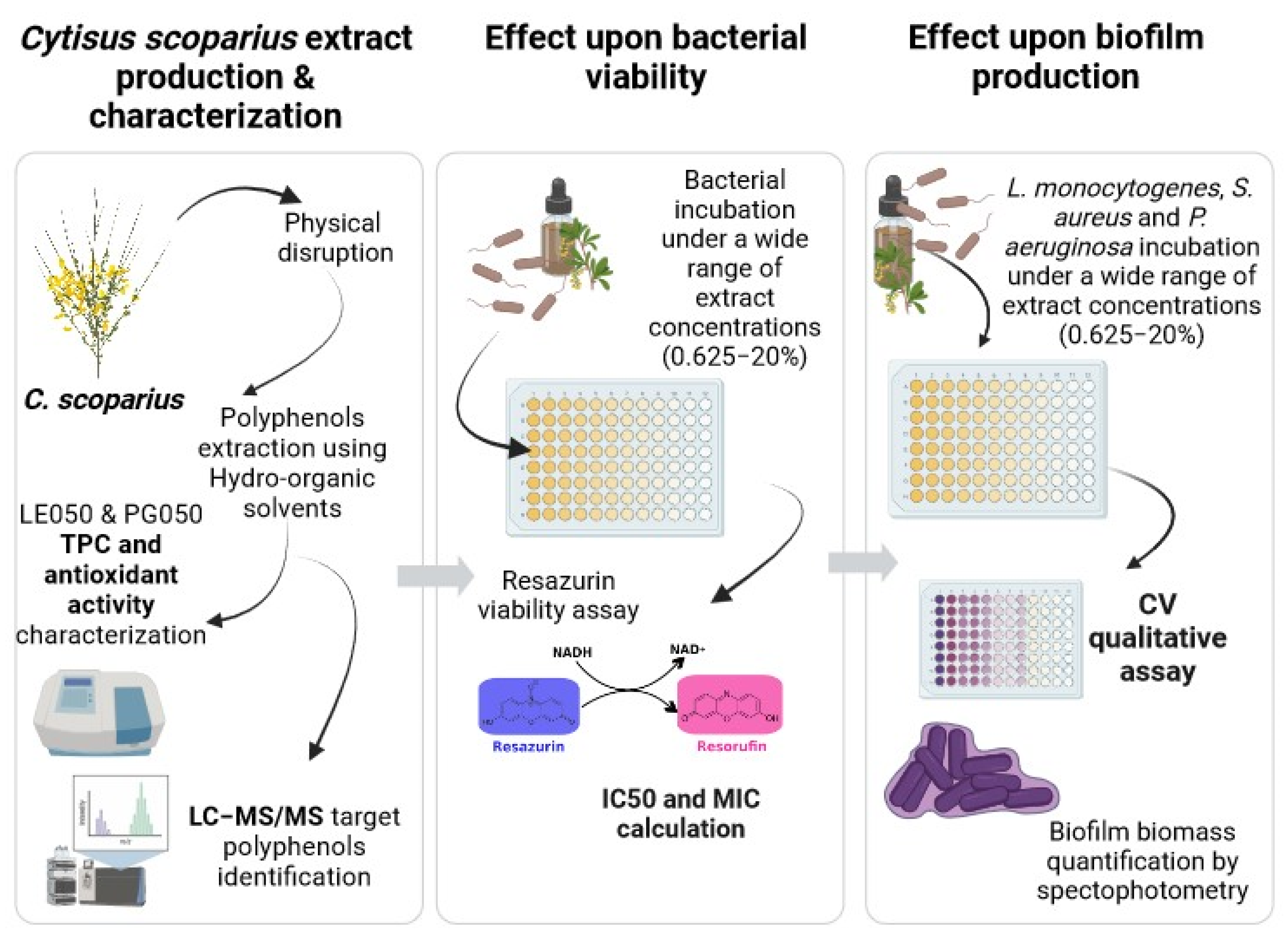 Antibiotics 12 01645 g006