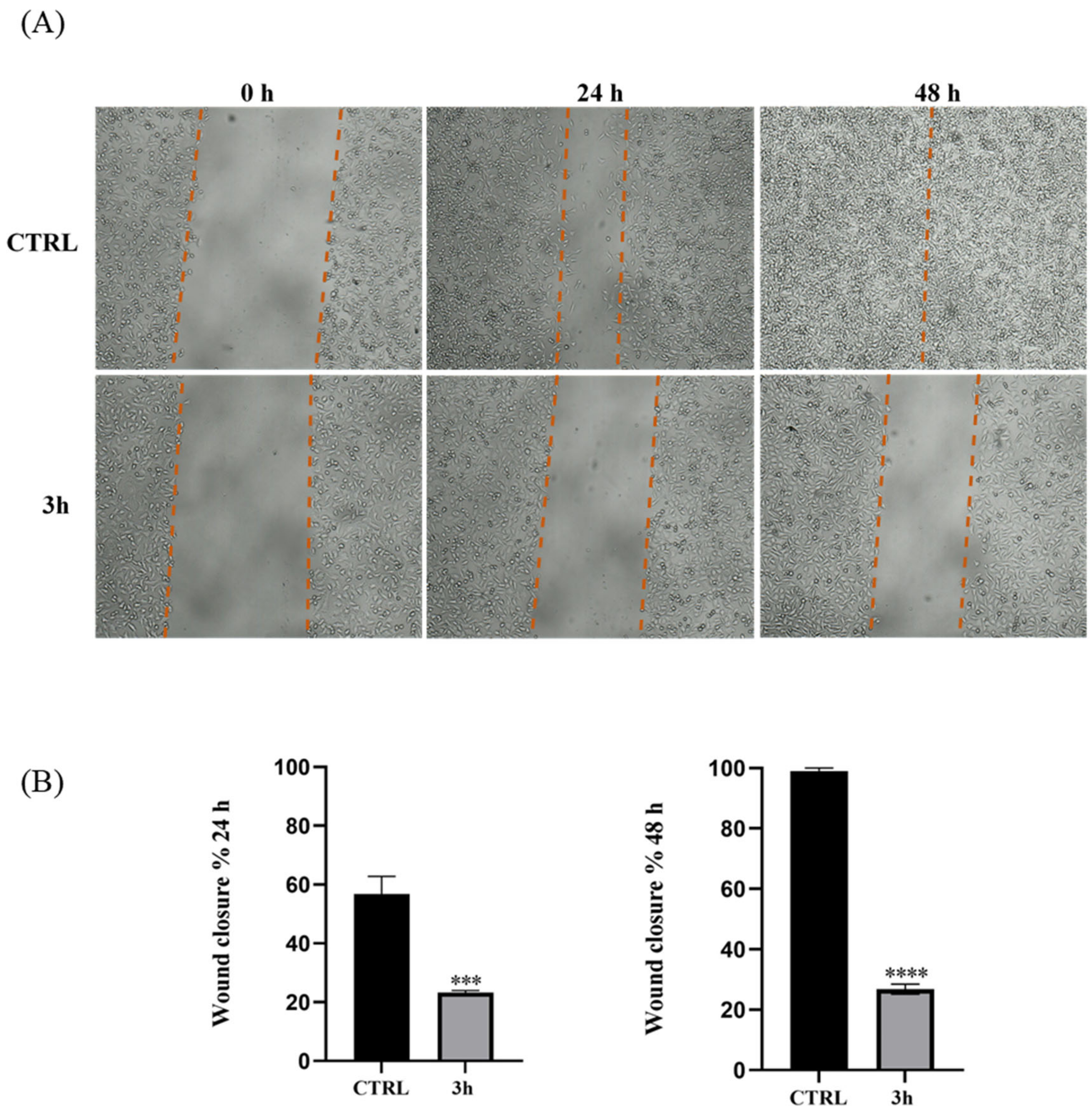 Antibiotics 12 01651 g003