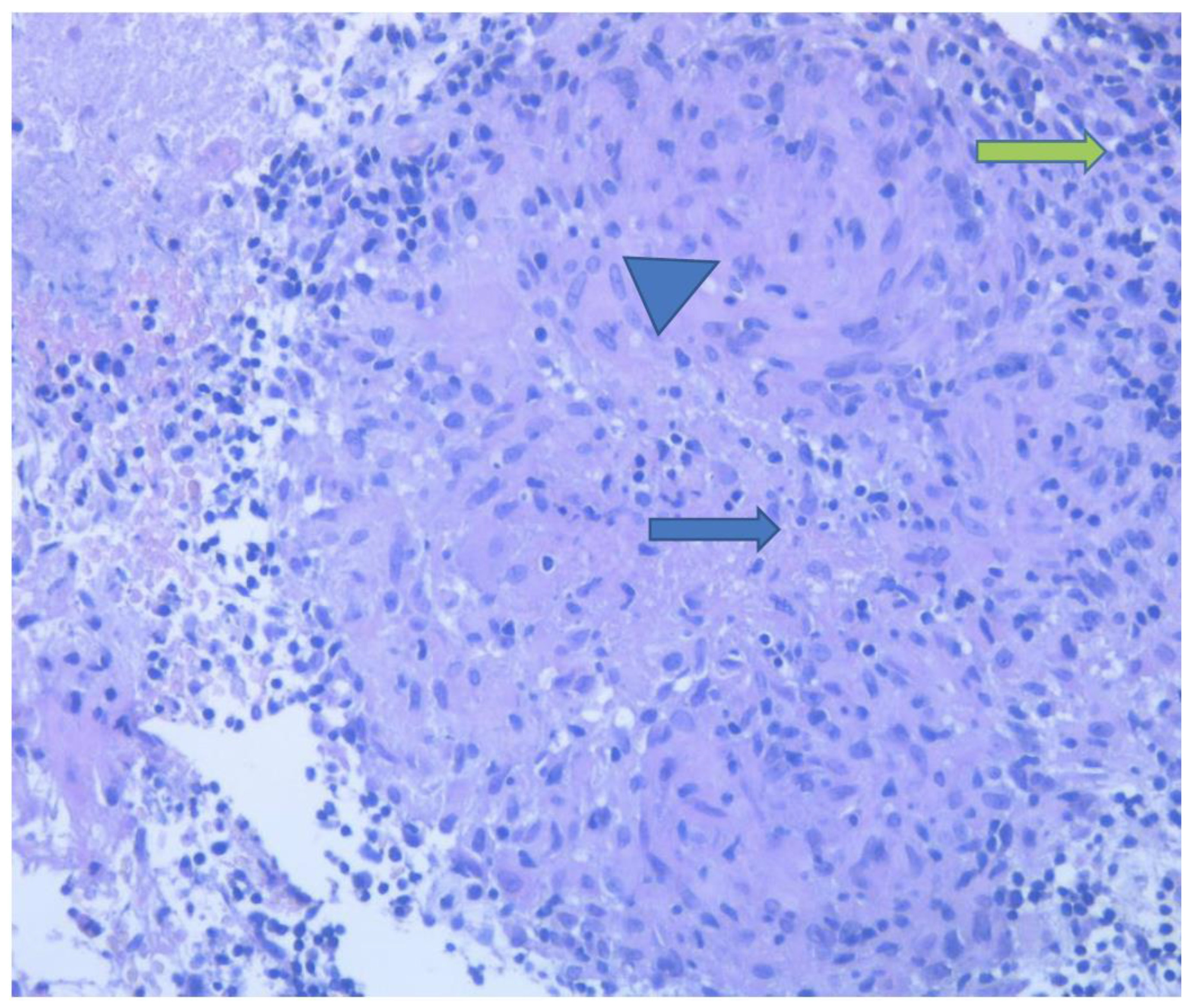 Antibiotics 12 01655 g003