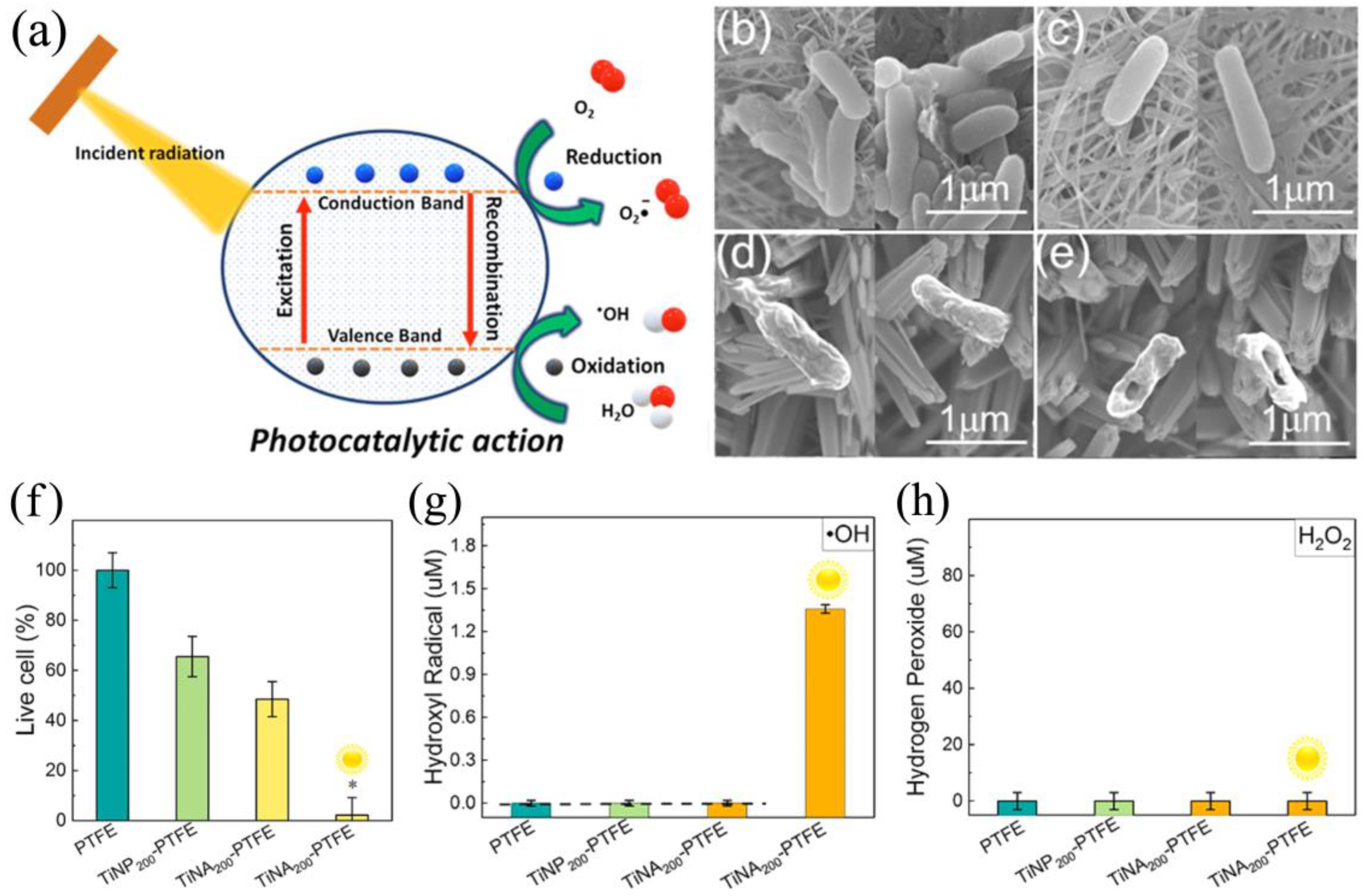 Antibiotics 12 01656 g002
