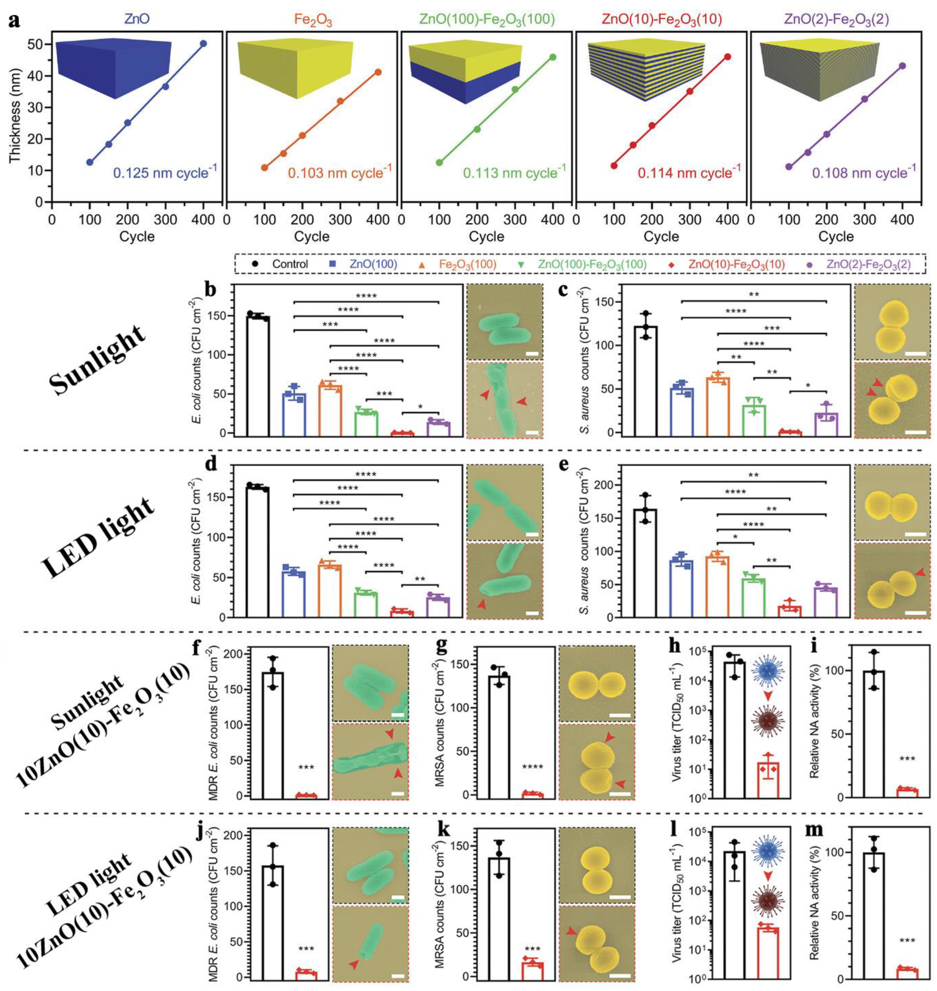 Antibiotics 12 01656 g013