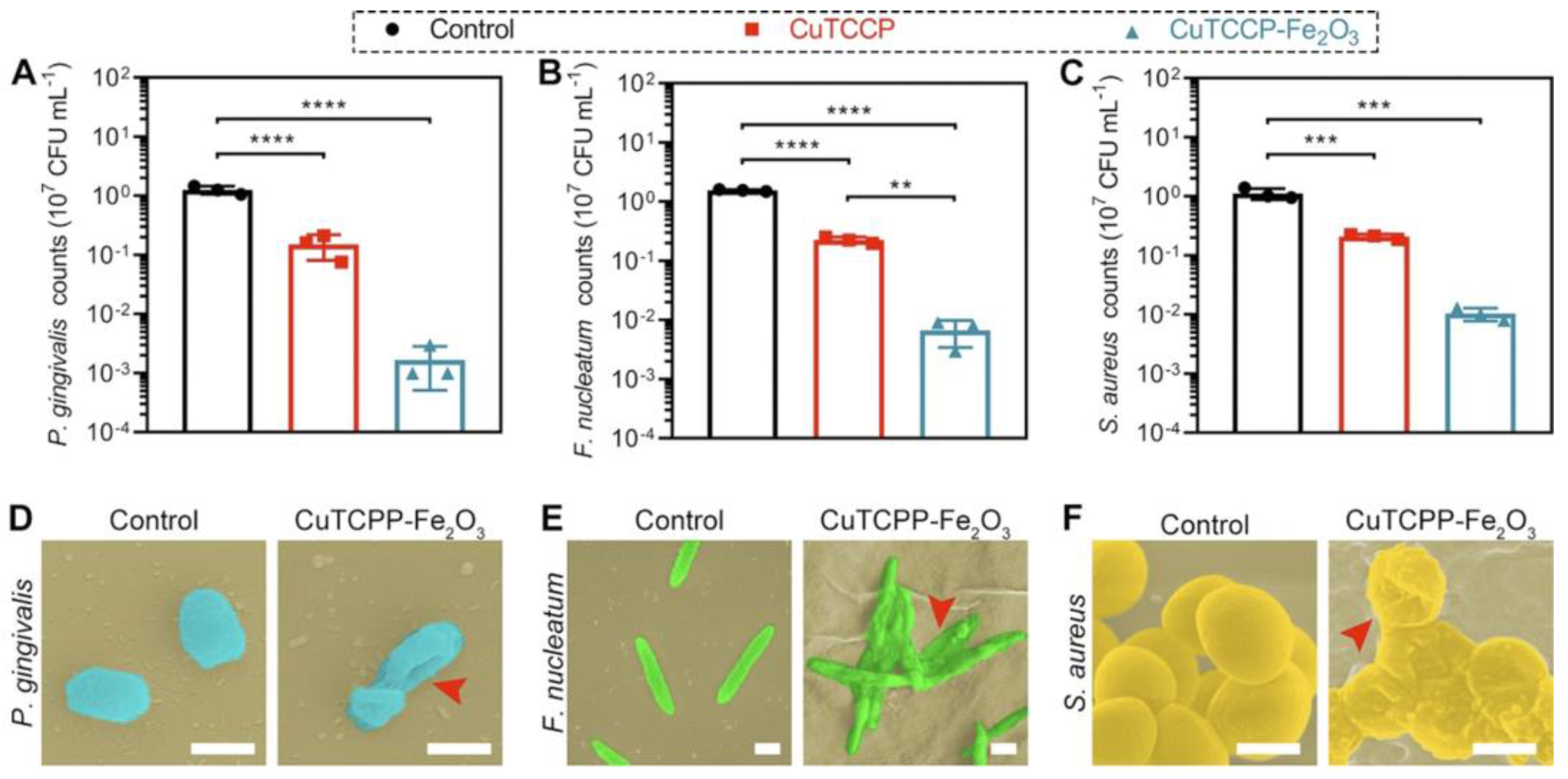 Antibiotics 12 01656 g014