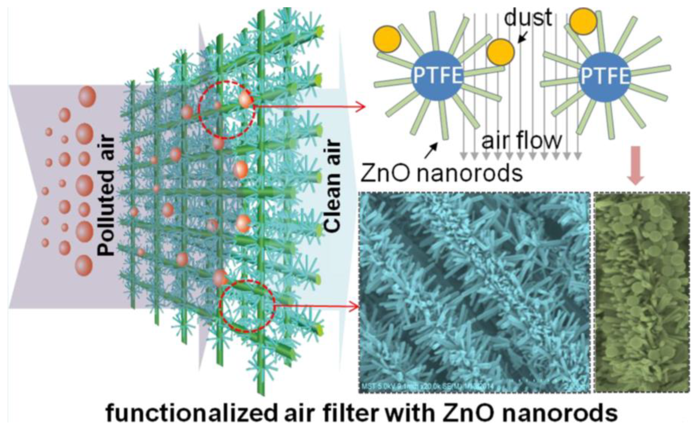 Antibiotics 12 01656 g018