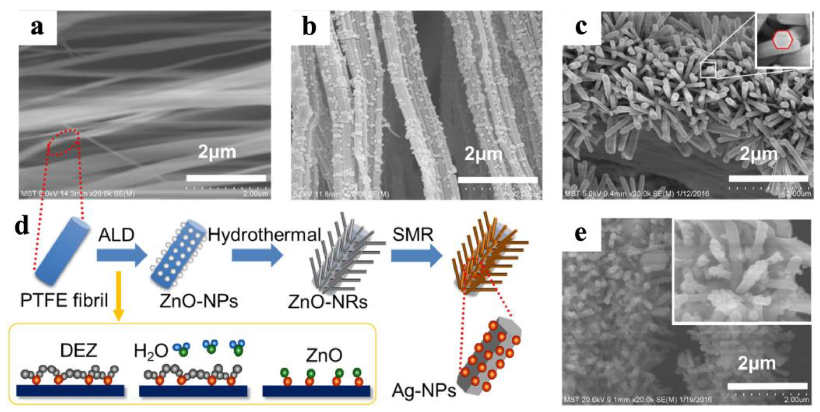 Antibiotics 12 01656 g019