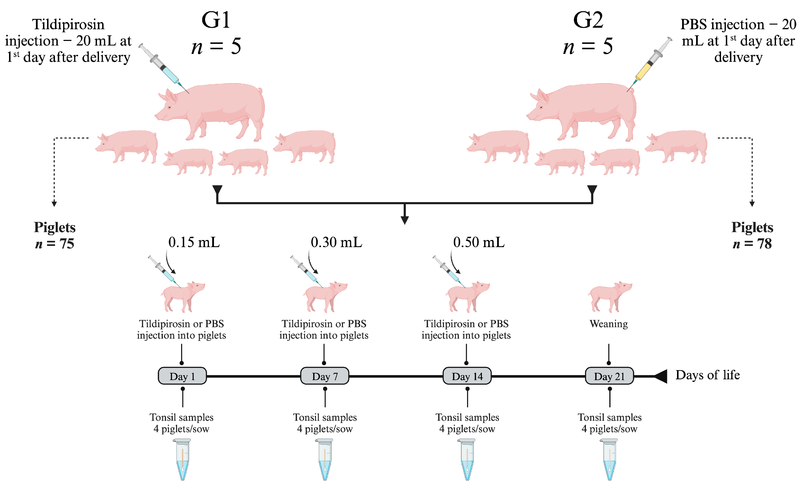 Antibiotics 12 01658 g006