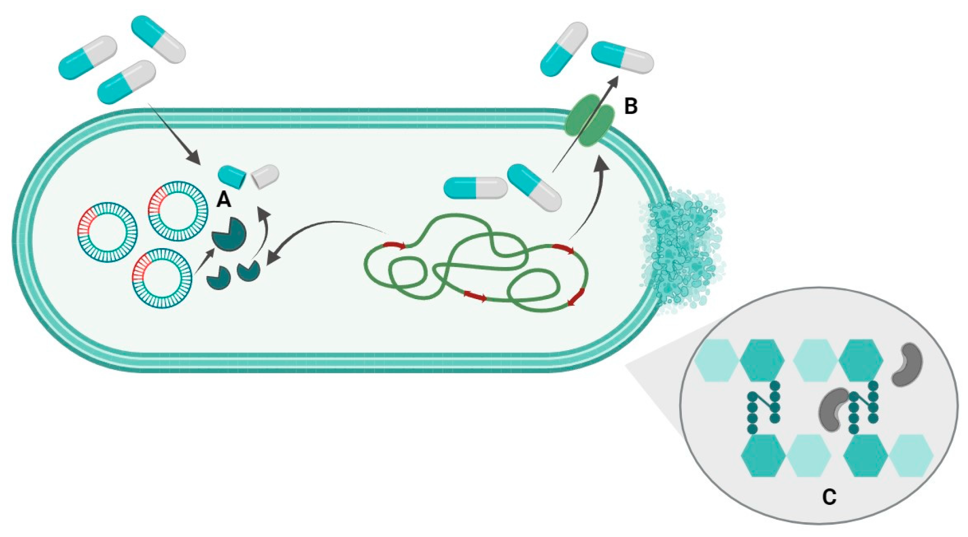 Antibiotics 12 01678 g001
