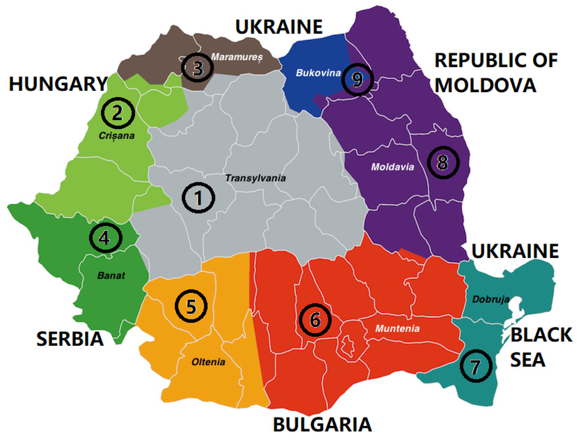 Antibiotics 12 01682 g007
