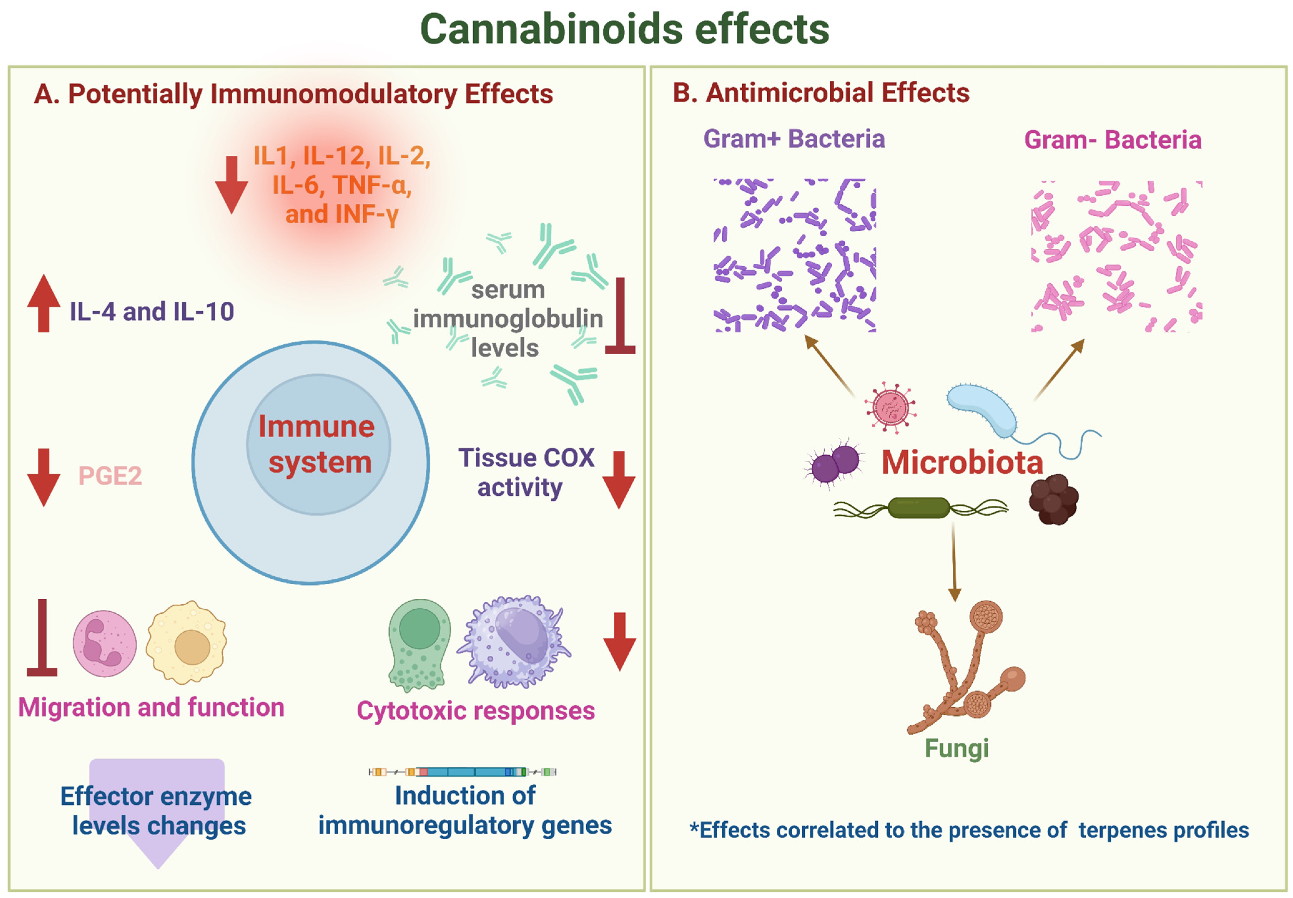 Antibiotics 12 01687 g002